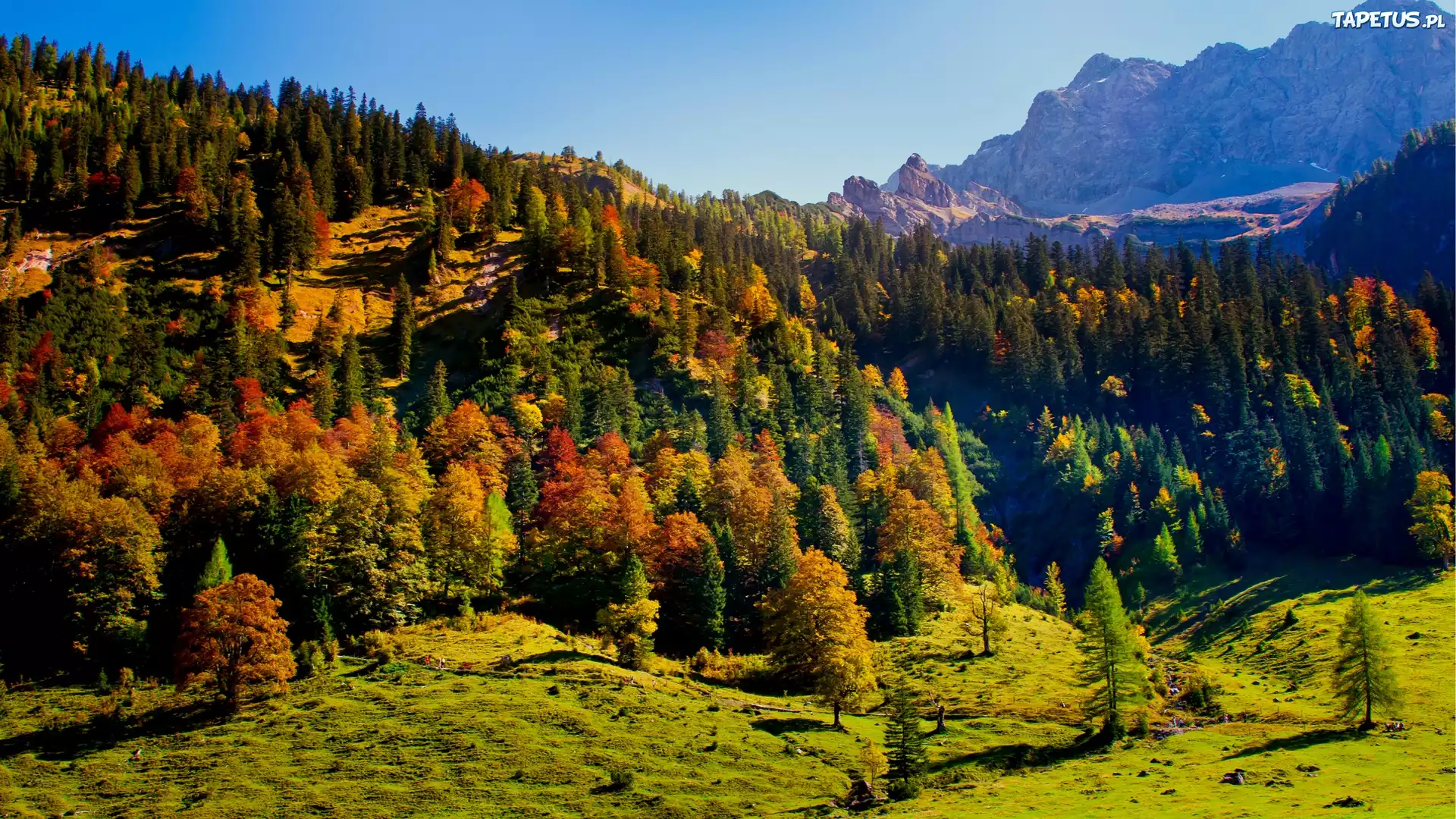 Austria, Tyrol, Karwendel, Jesień, Góry, Lasy