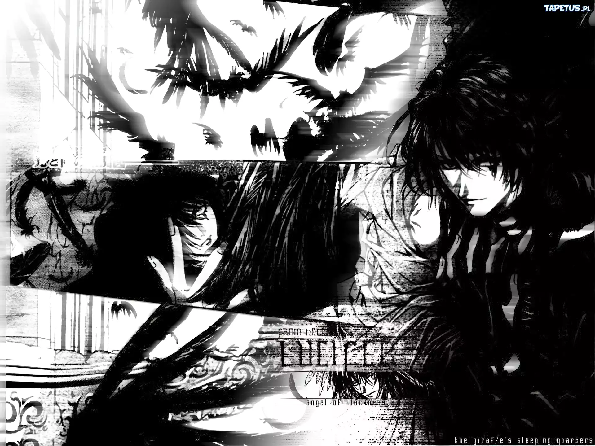 Angel Sanctuary, twarze, ludzie, ptaki