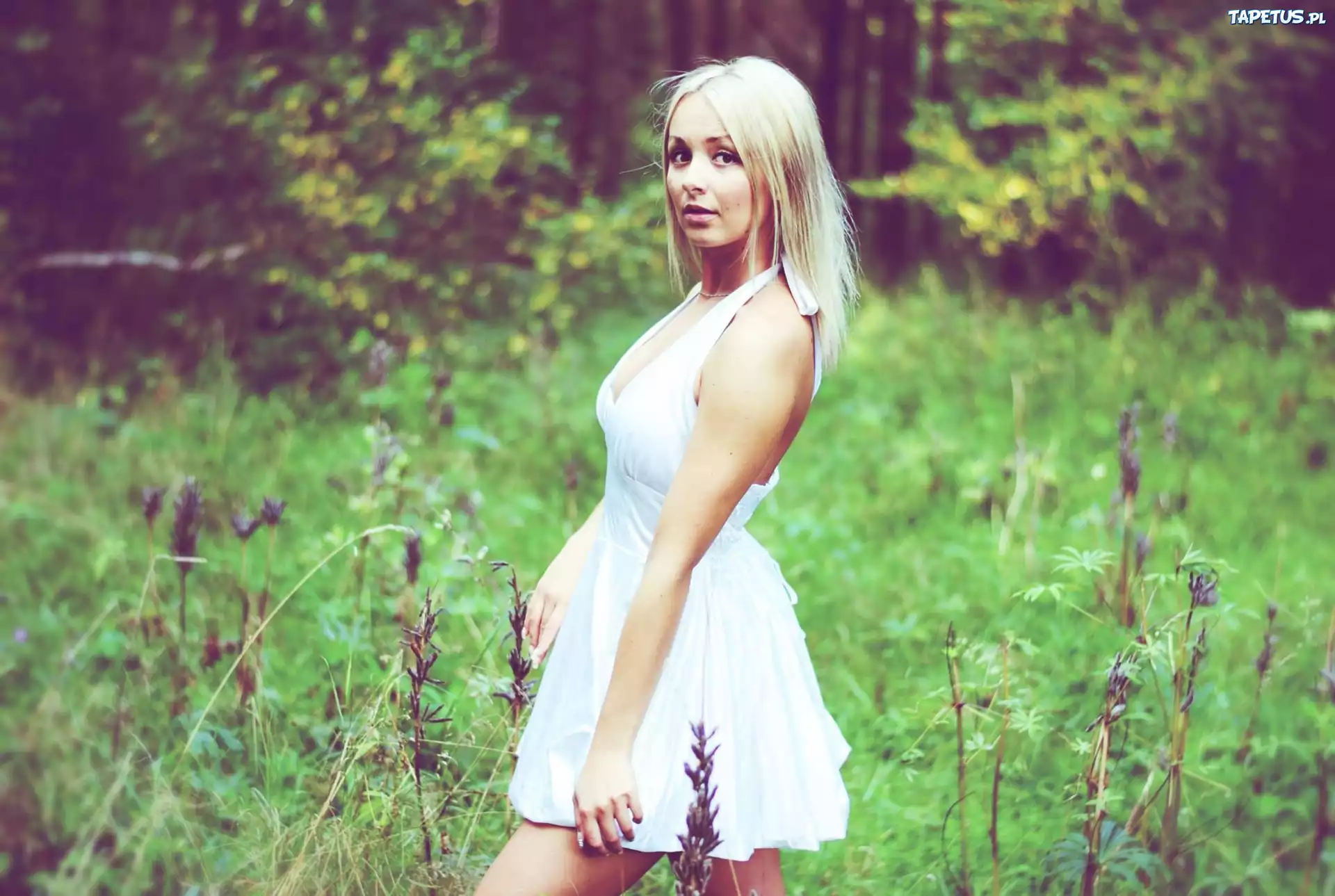Kobieta, Blondynka, Biała, Sukienka