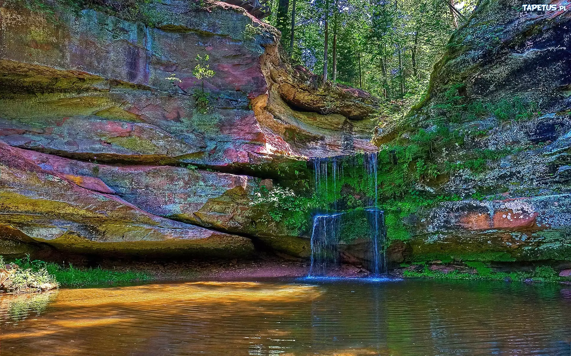 Wodospad, Kolorowe, Skały, Las
