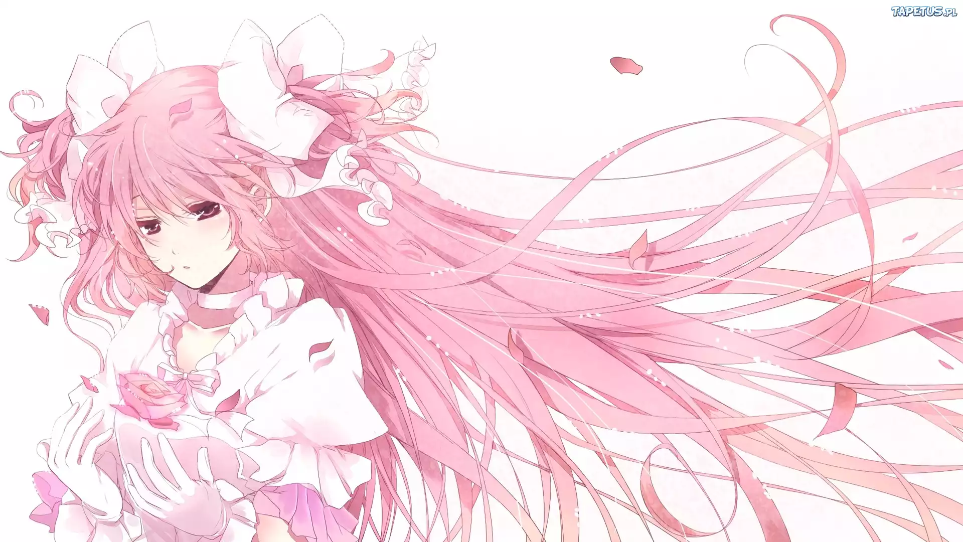 Mahou Shoujo Madoka Magica, Ultimate Madoka