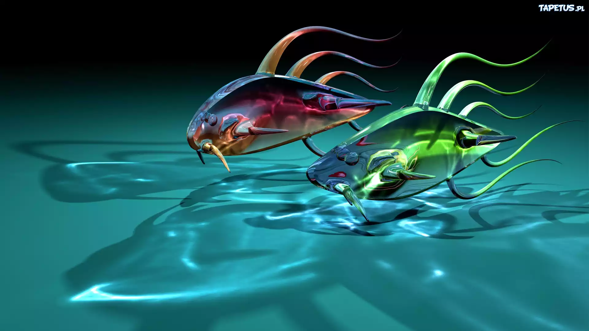 Grafika, 3D, Ryby