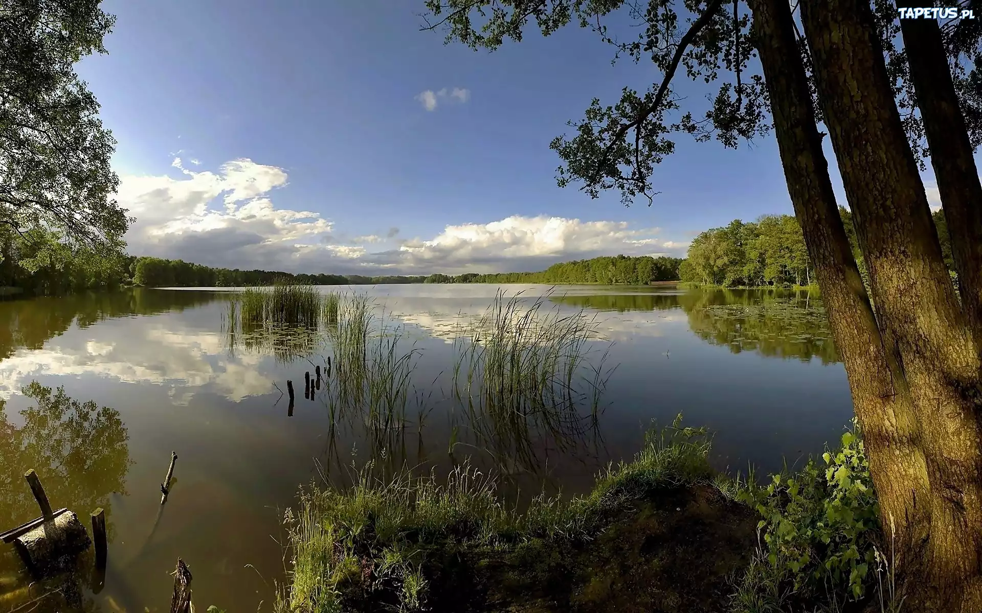 Тема реки и озера. Лесное озеро. Рыбалка пейзаж. Лето озеро. Русские озера.