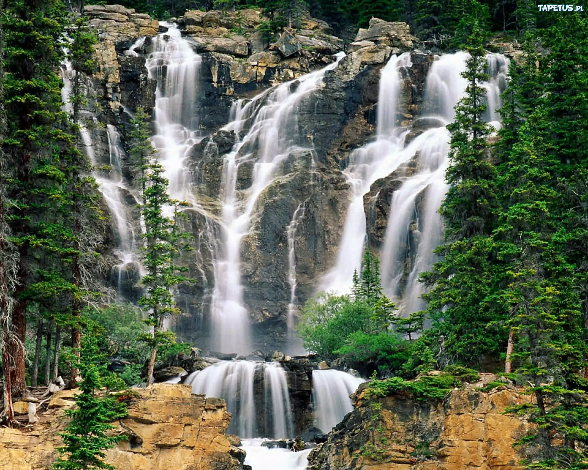 Narodowy, Park, Jasper, Alberta, Las, Skały, Wodospad