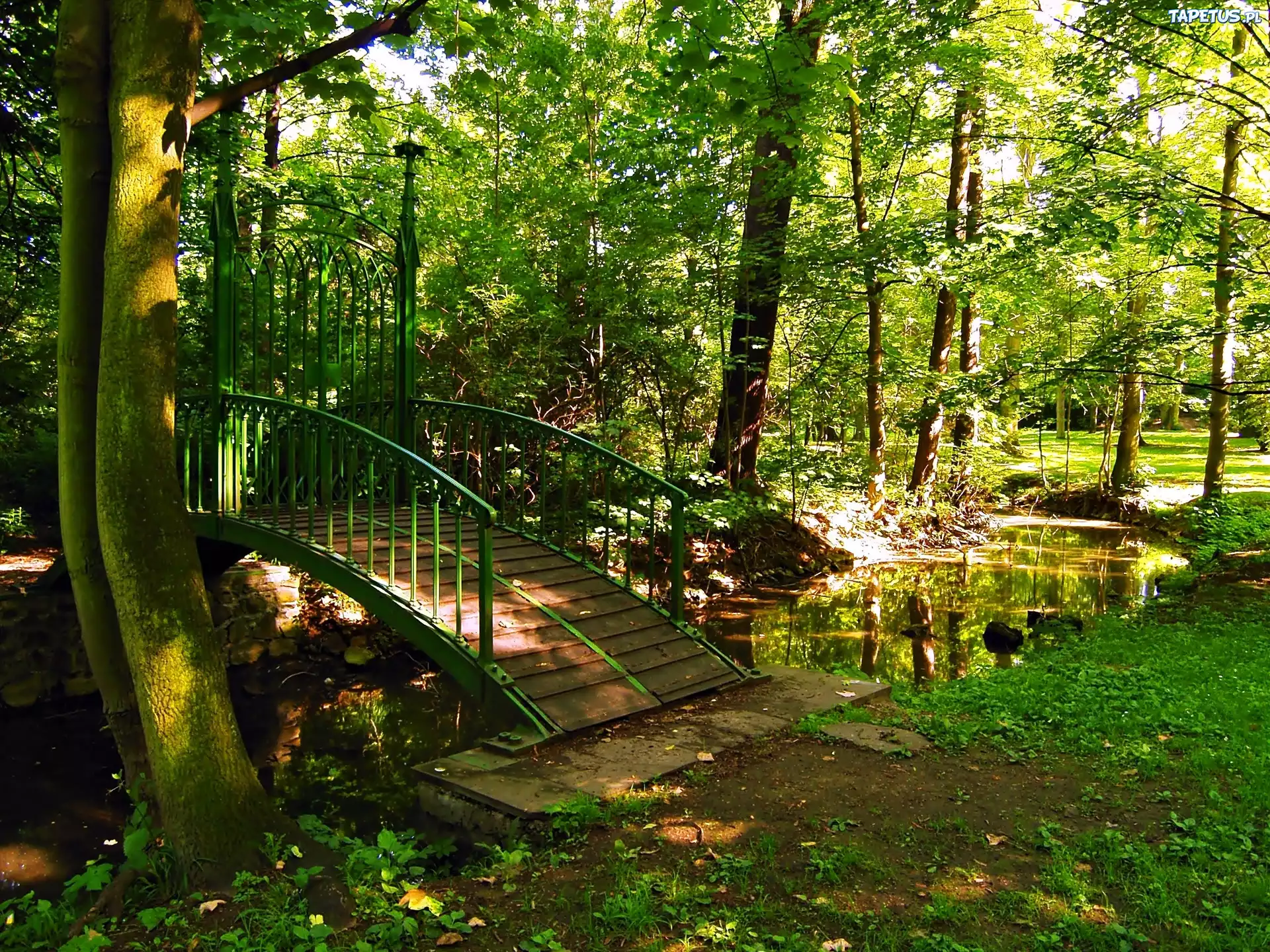 Park, Rzeczka, Mostek, Przebijające, Światło