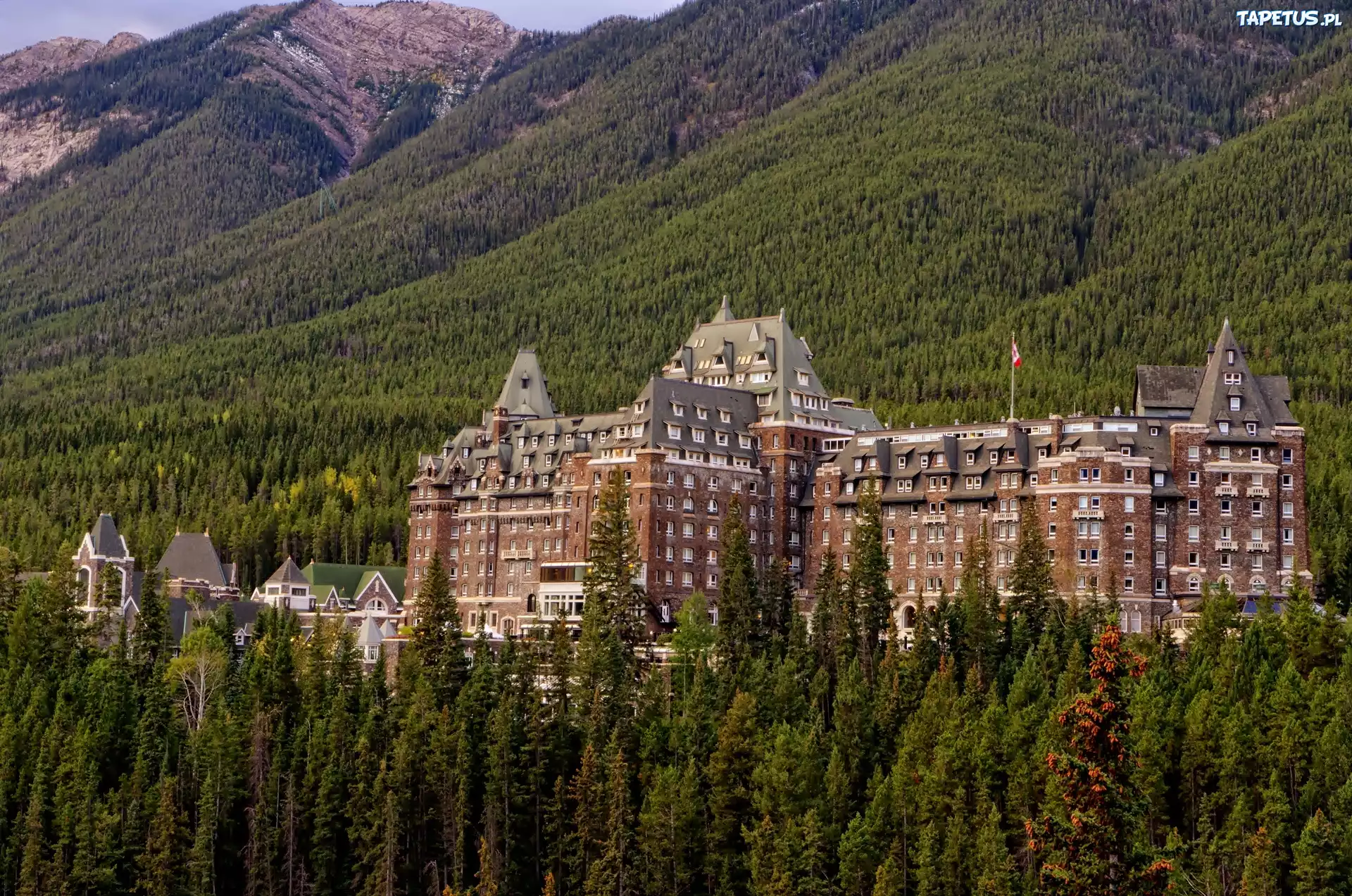 Góry, Fairmont Banff Springs, Hotel, Świerki
