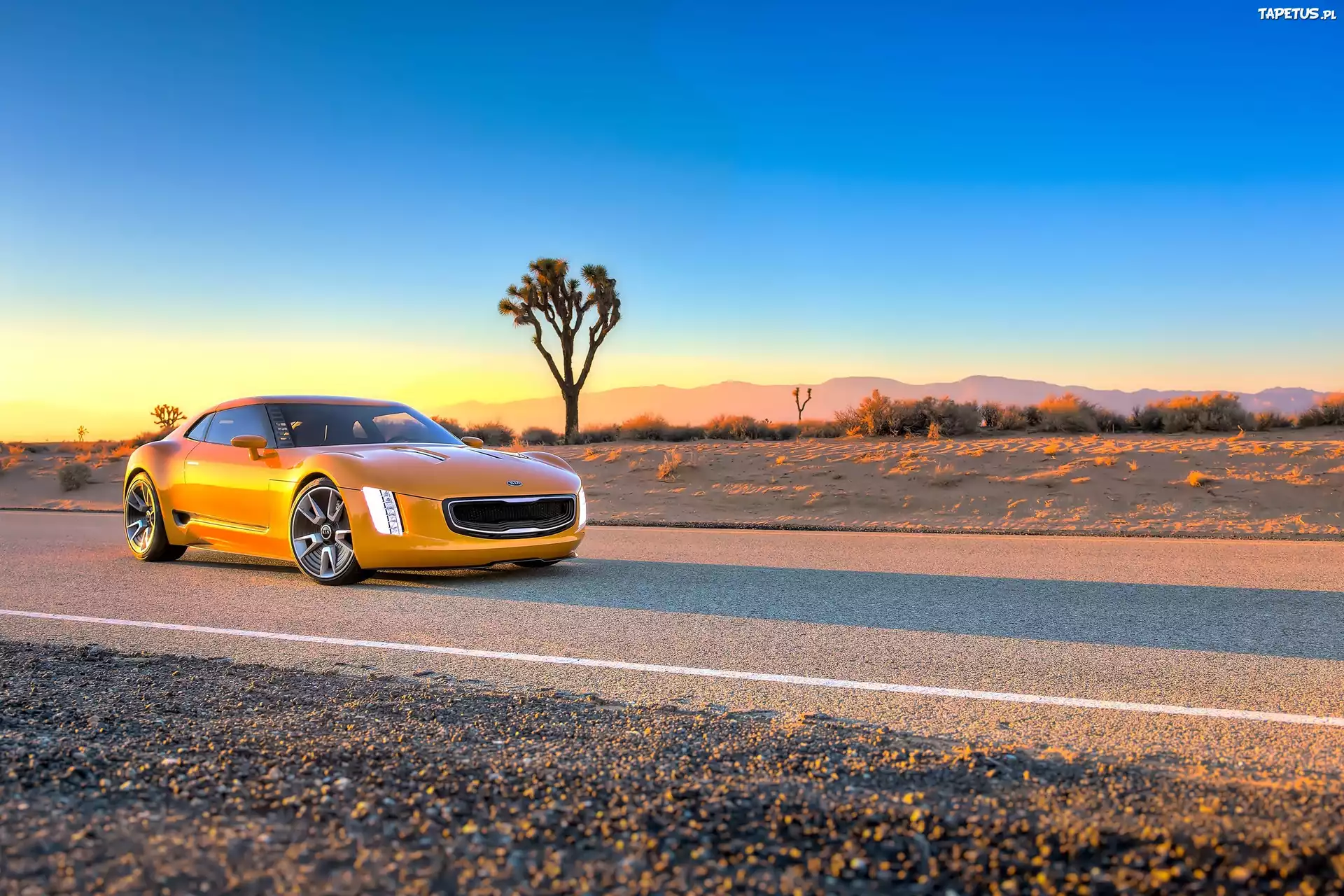 Kia, GT4 Stinger, Żółty