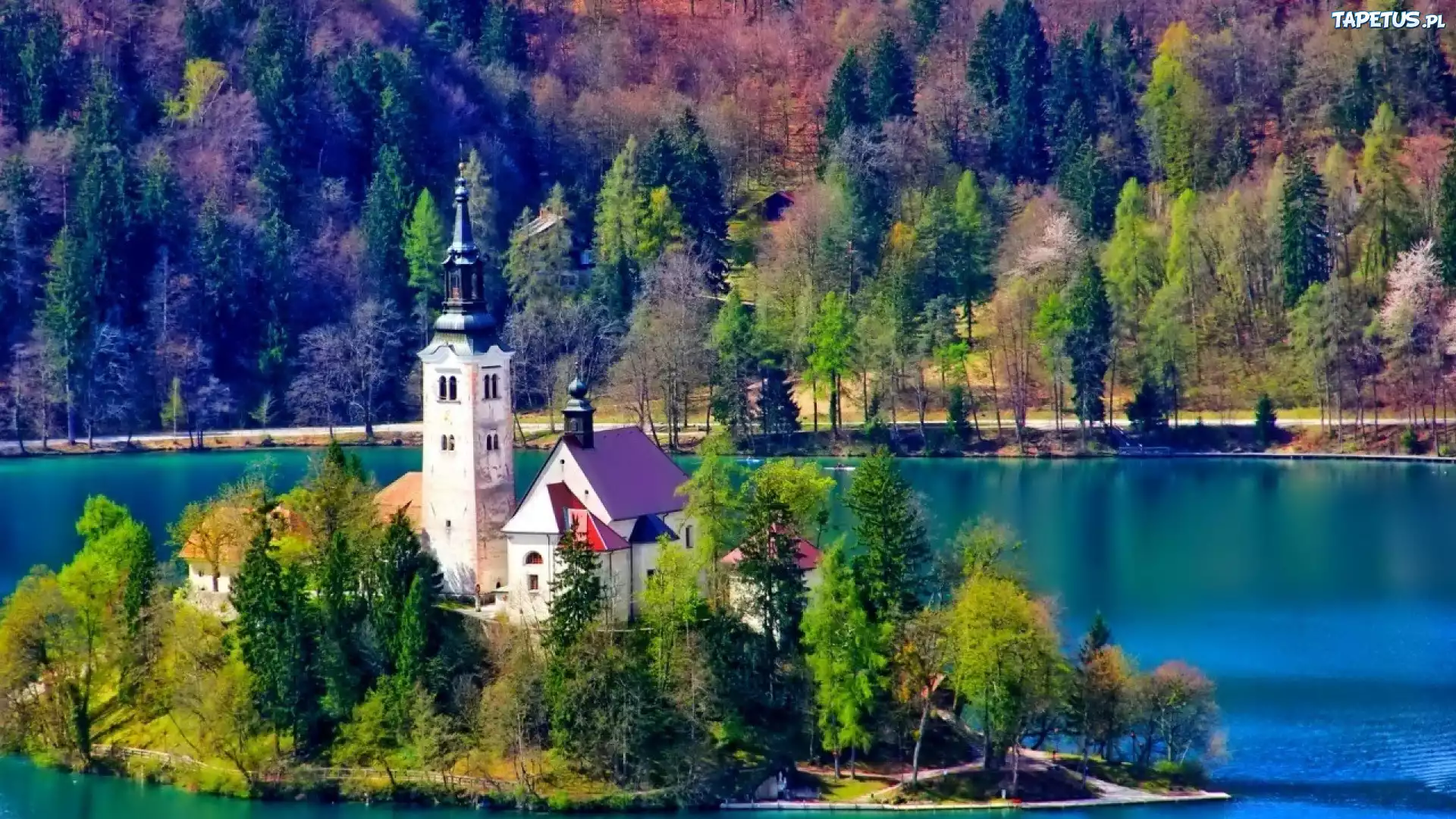 Kościół, Las, Jezioro, Bled, Słowenia