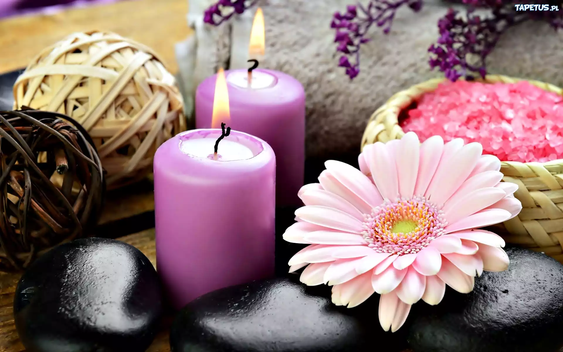 Zestaw, Spa, Sól, Morska, Świece, Gerbera, Kamienie