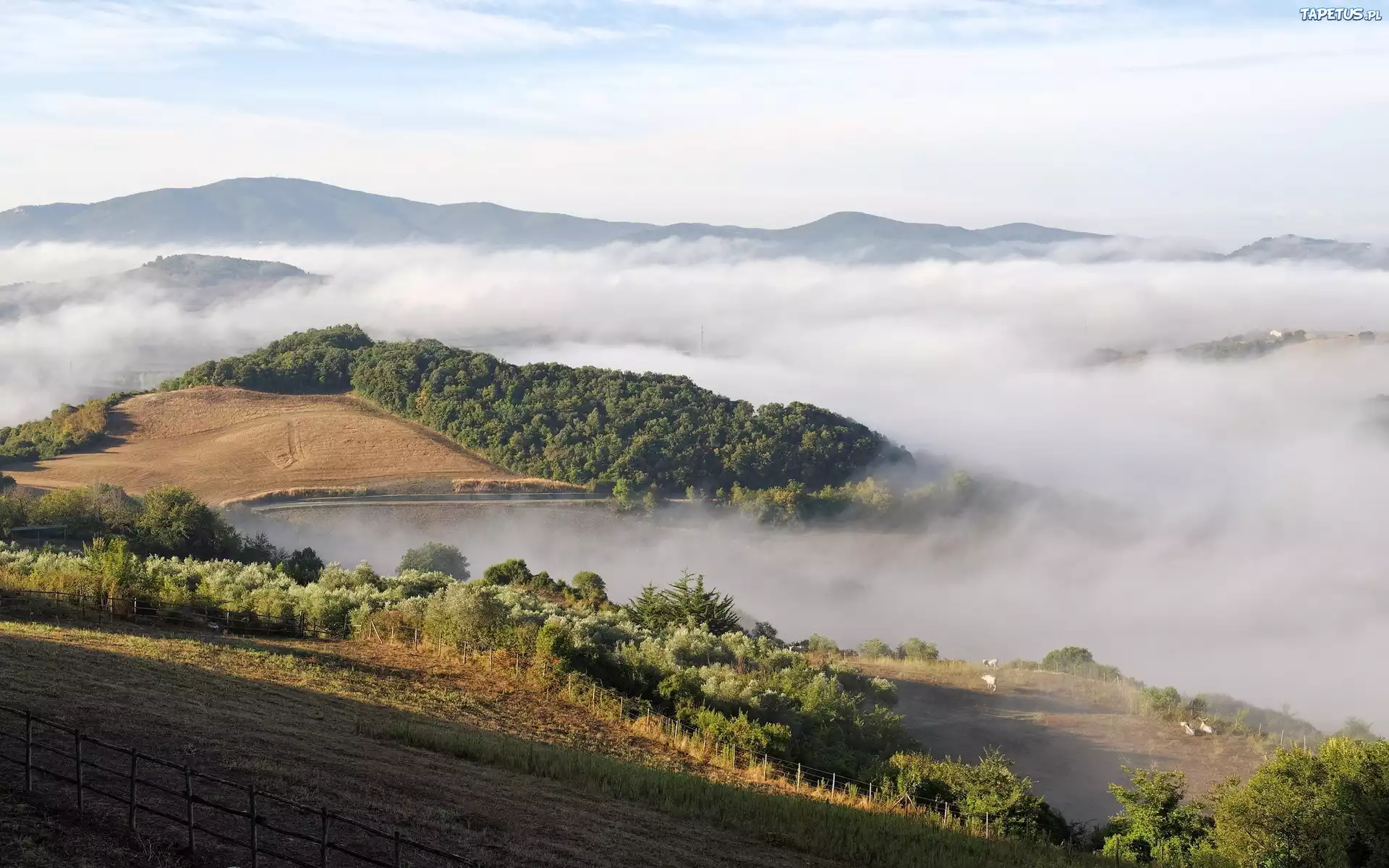 Góry, Jezioro, Lasy, Mgły