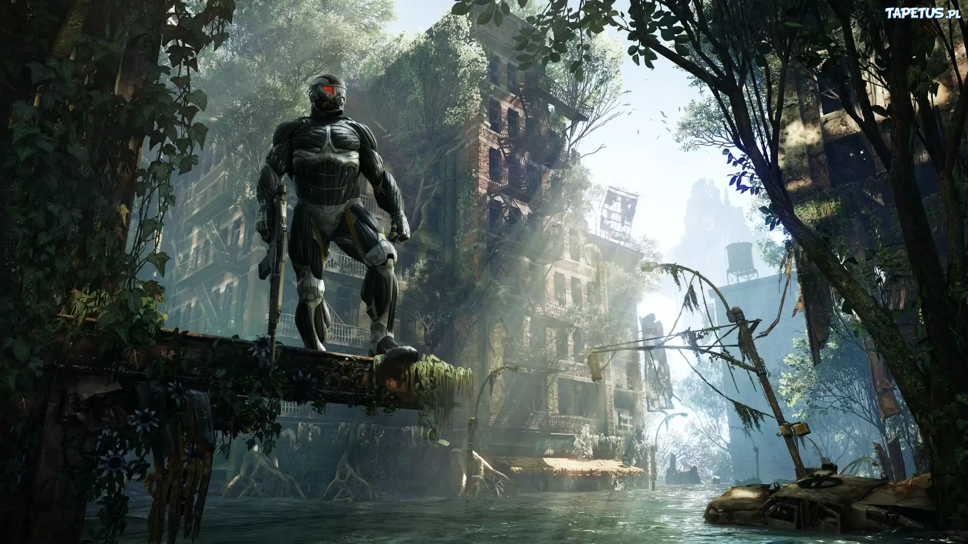 Crysis 3, Uzbrojona, Postać, Woda, Drzewa