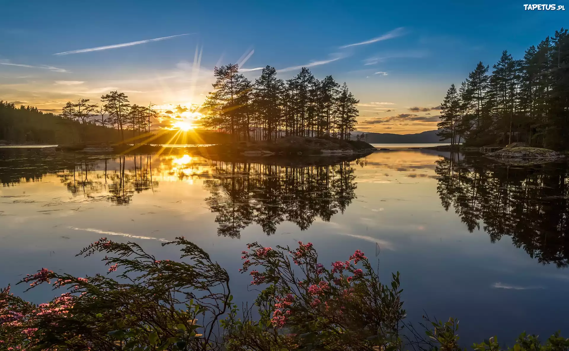 Norwegia, Wschód Słońca, Jezioro, Drzewa