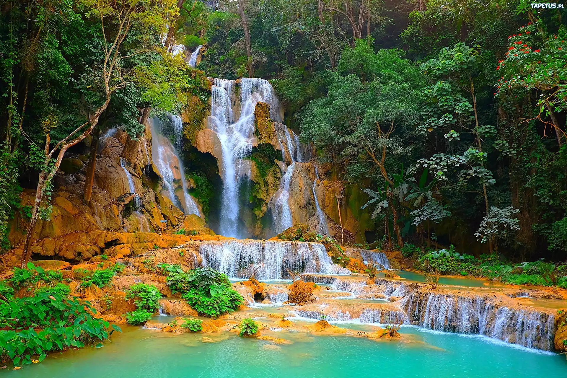 Las, Jeziorko, Wodospad, Kuang Si, Laos