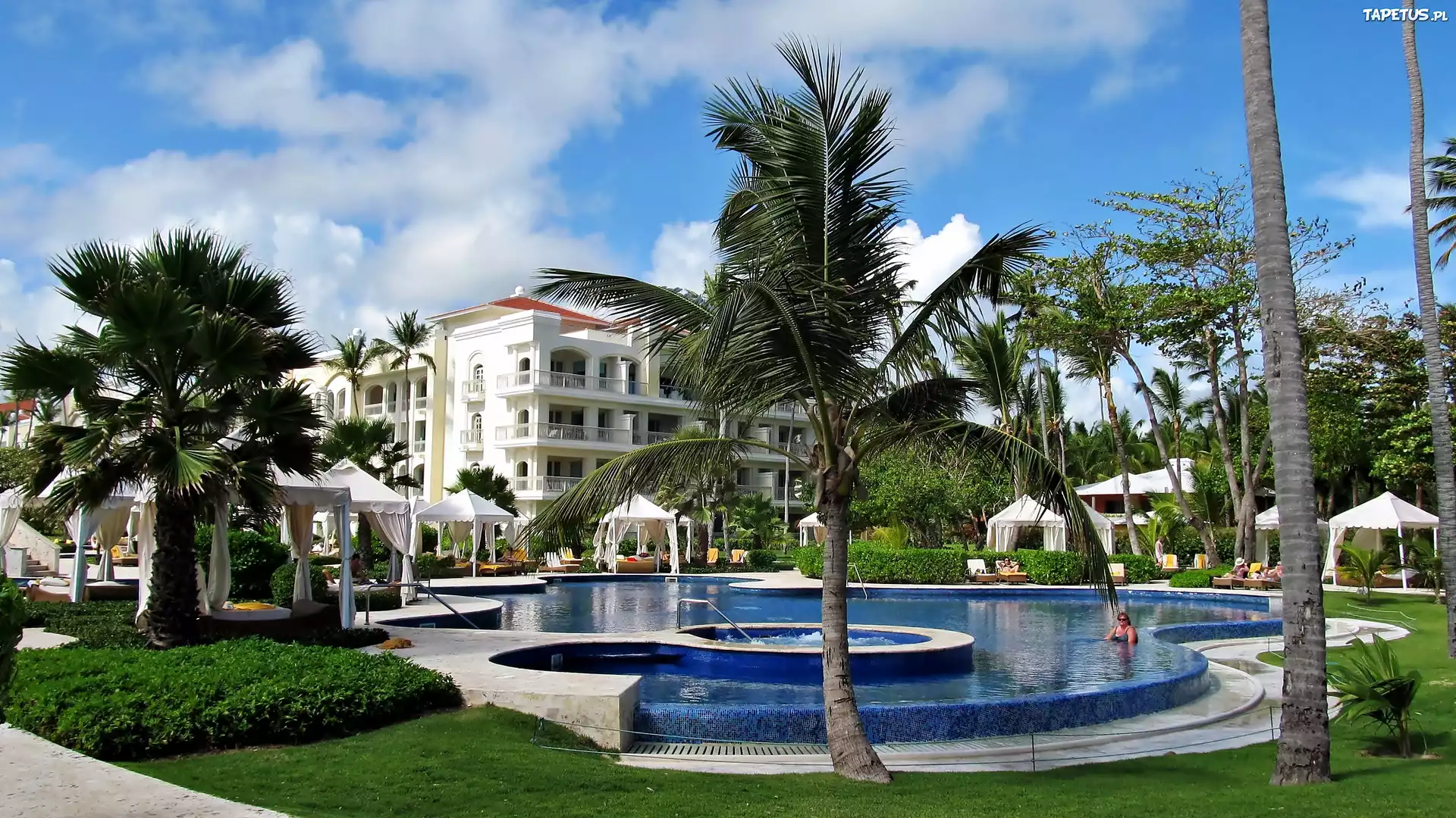 Hotel, Basen, Palmy, Tropiki