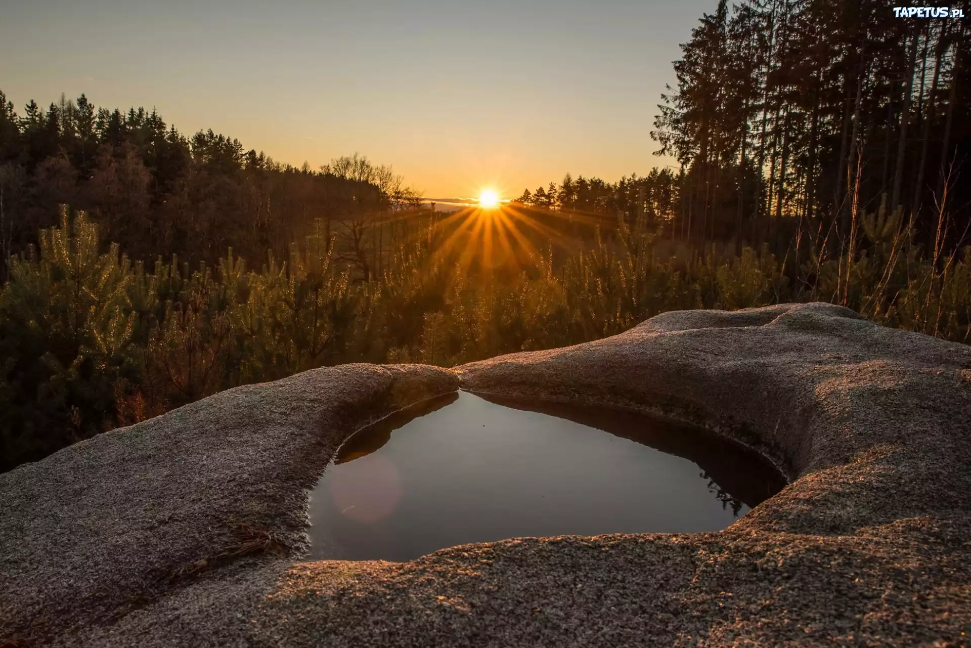 Czechy, Wschód słońca, Las