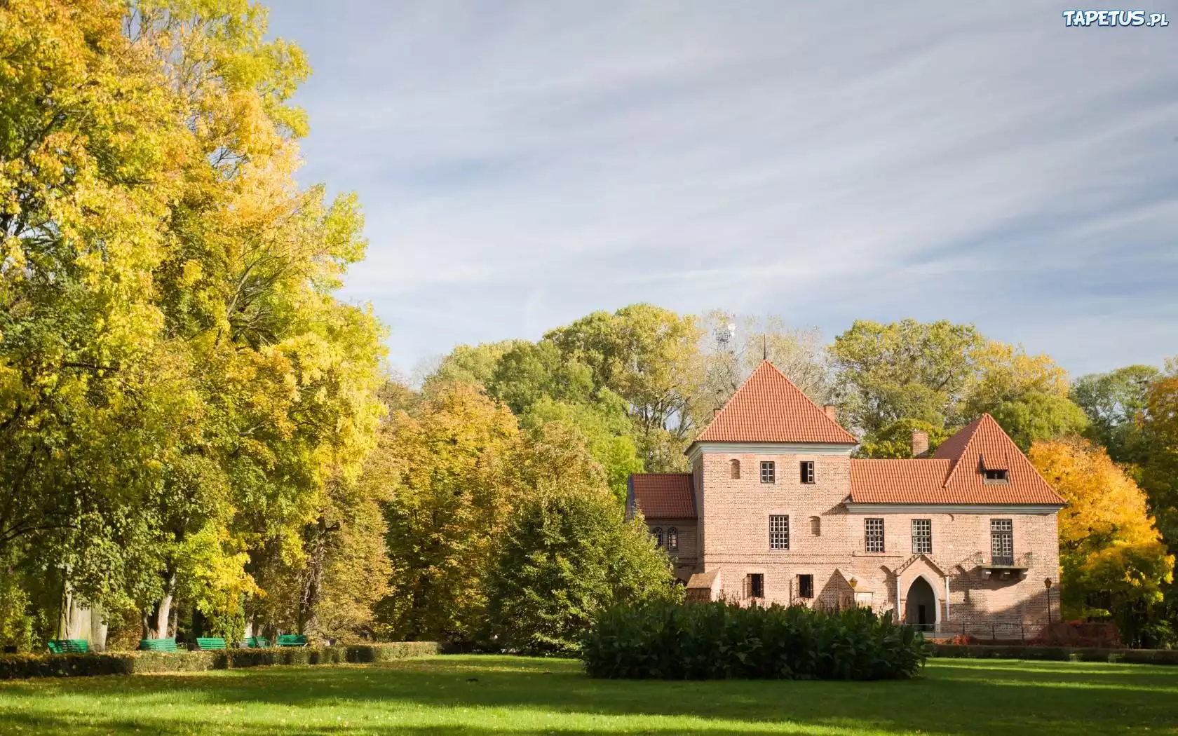 Zamek, Oporów, Polska, Drzewa, Trawa