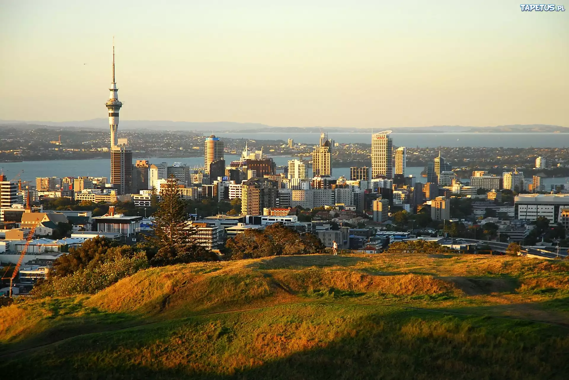 Auckland, Nowa Zelandia, Panorama