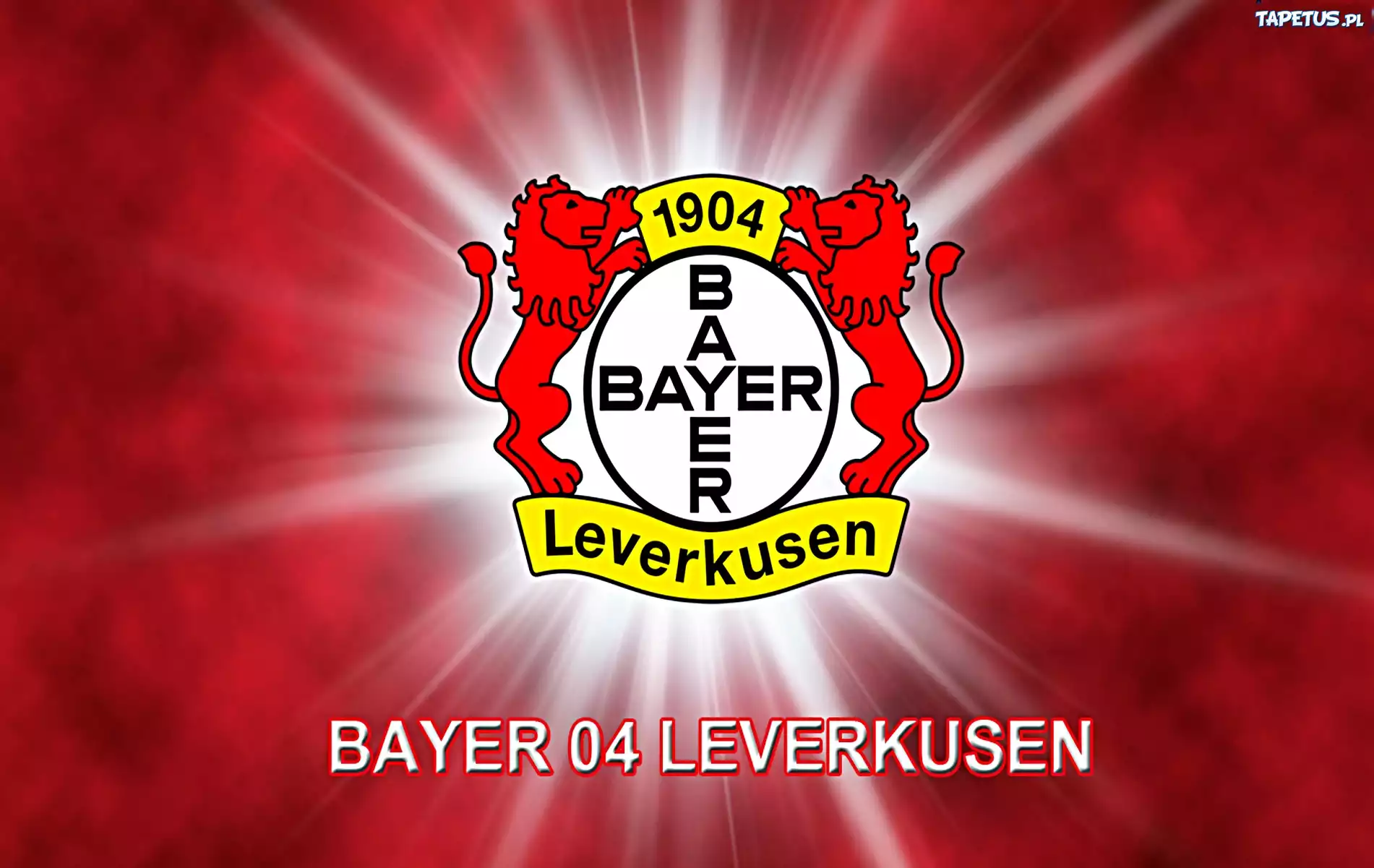 Bayer Leverkusen, piłka nożna, sport
