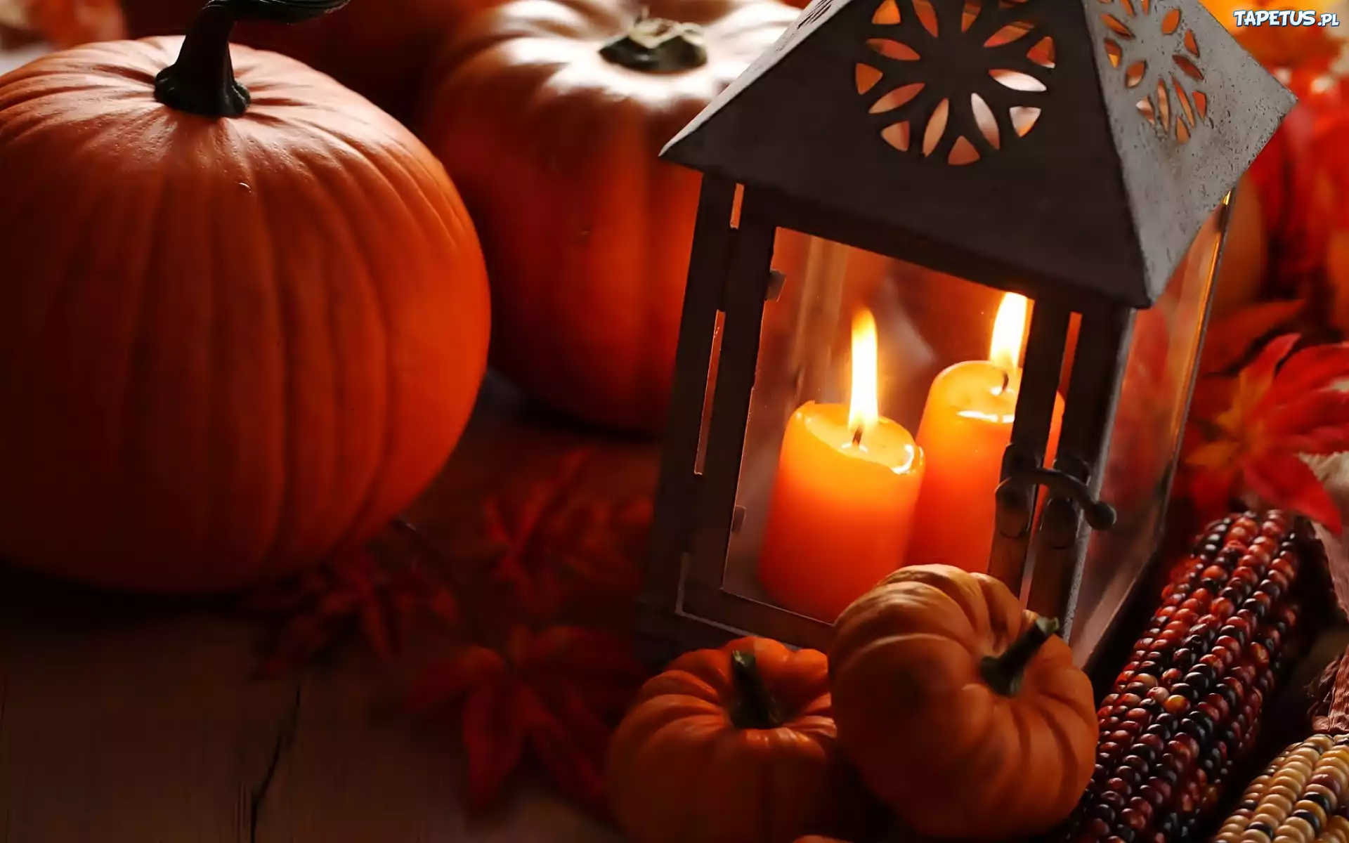 Dynie, Kukurydza, Lampion, Świece, Halloween