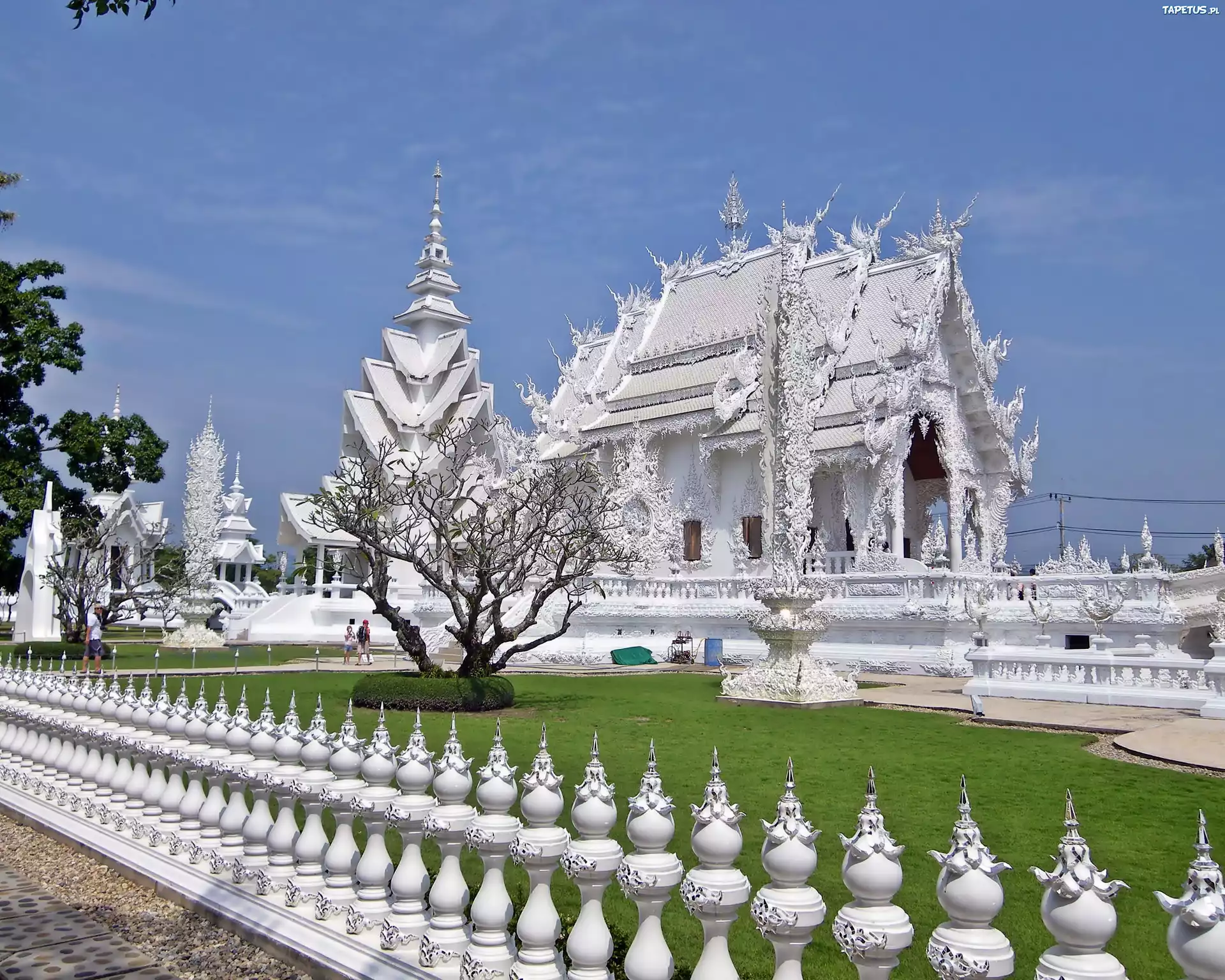 Biała, Świątynia, Chiang, Mai