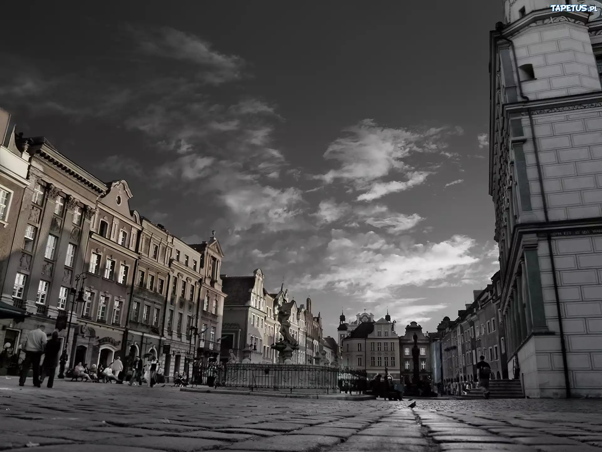 Poznań, Rynek
