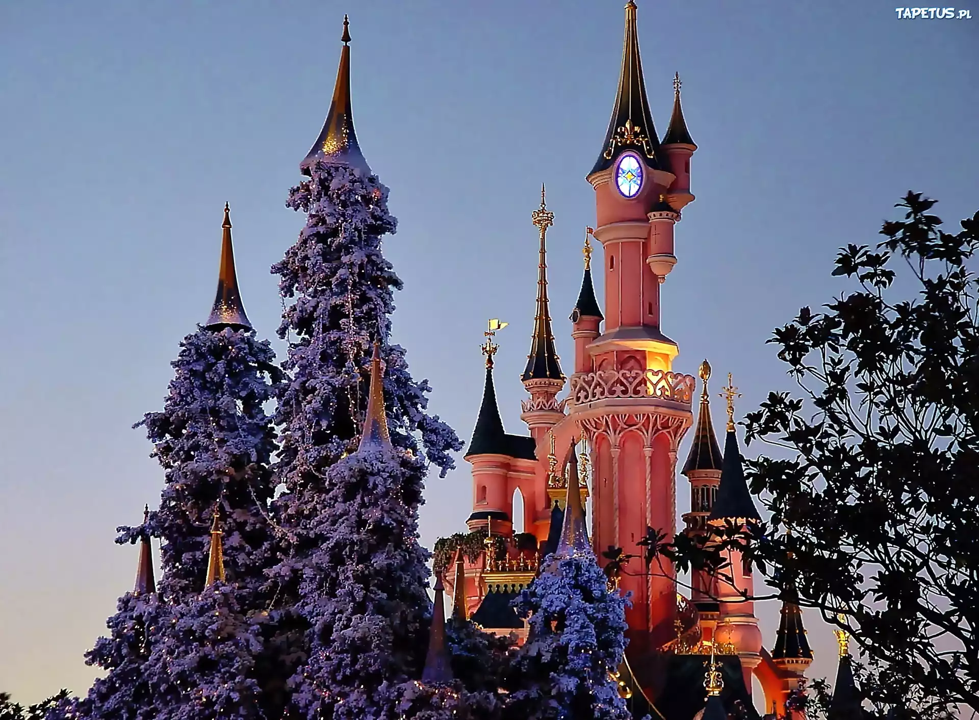 Zamek, Euro, Disney, Resort, W Marne, La Vallee