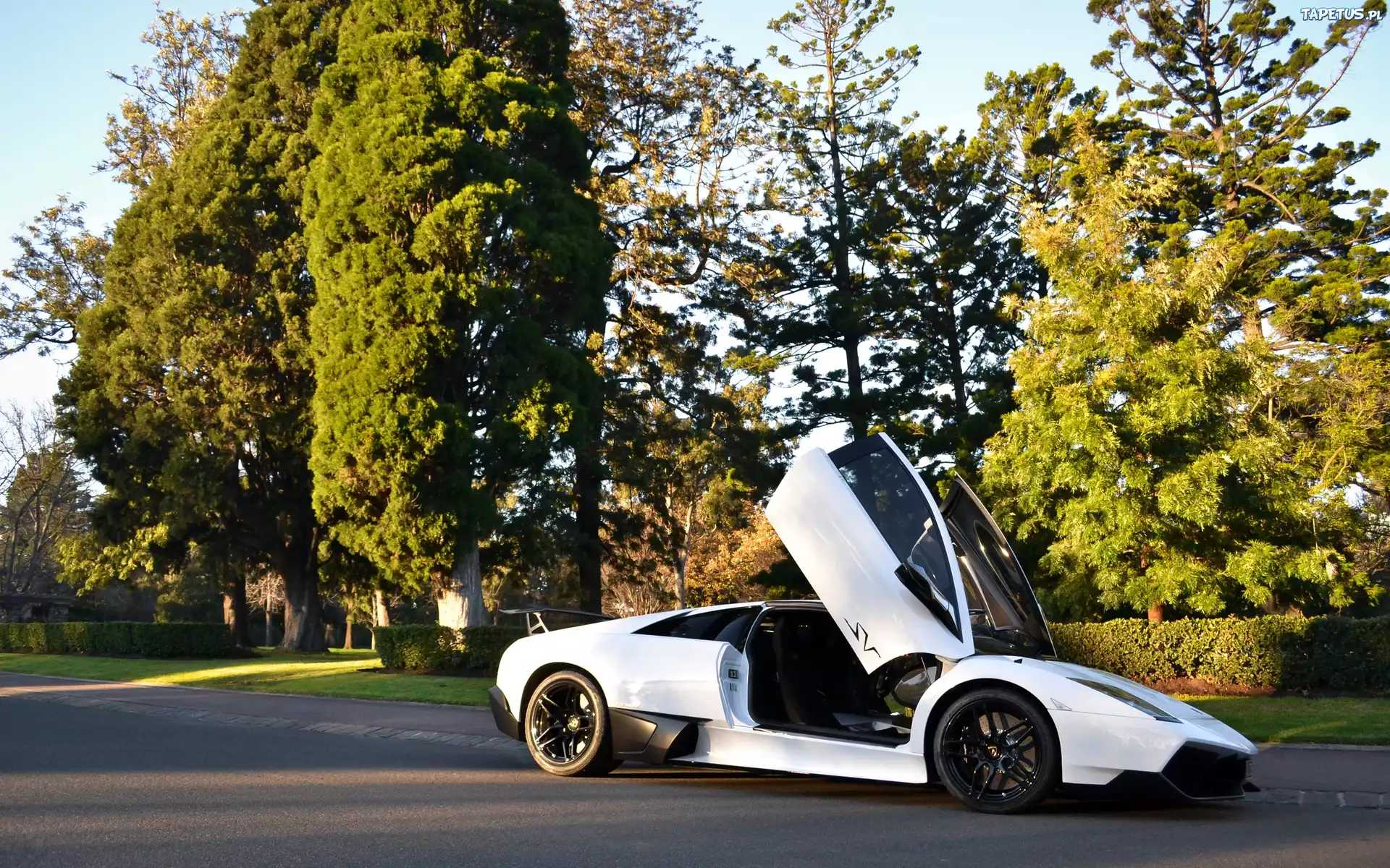 Białe, Lamborgini, Murcielago, LP670-4SV, Ulica, Park