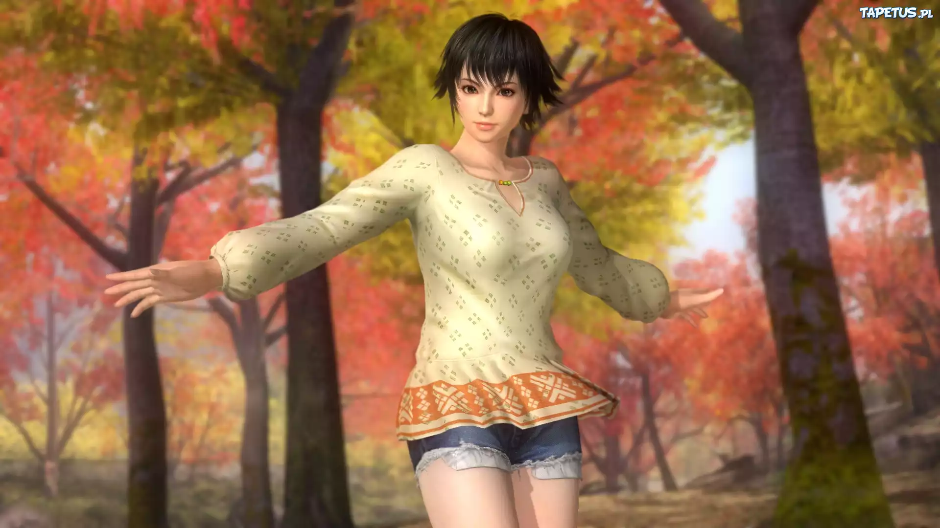 Dead Or Alive 5 Ultimate, Pai