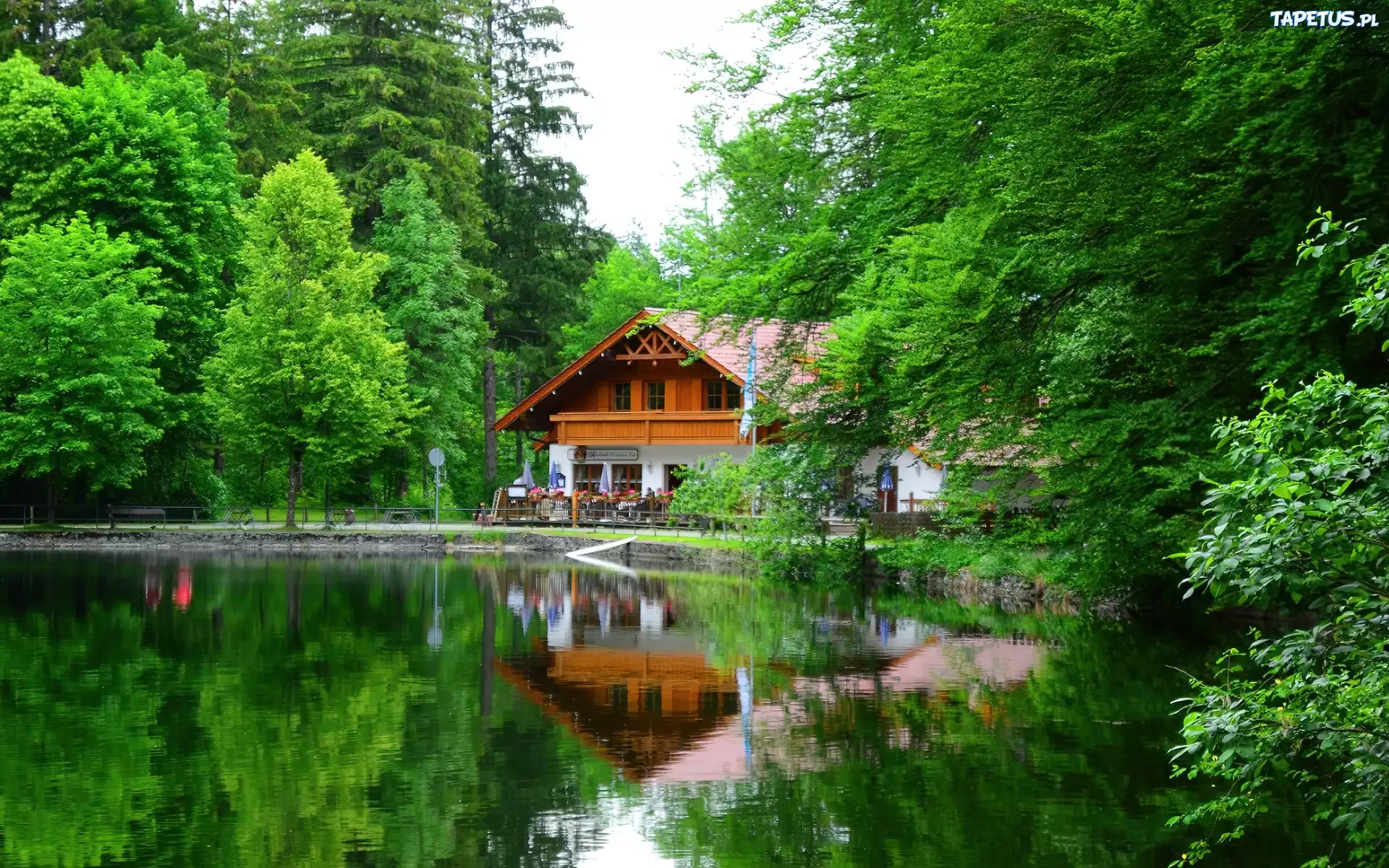 Park, Staw, Restauracja, Wiosna
