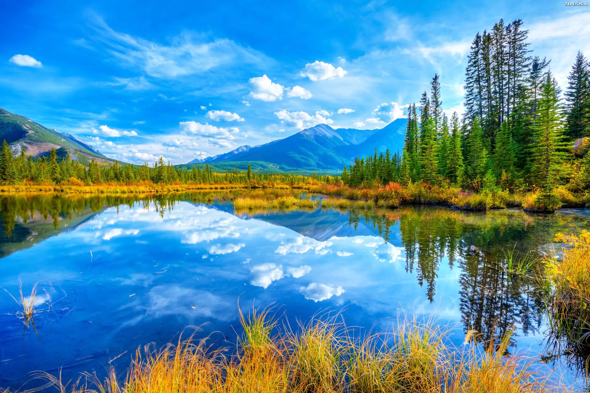 Góry, Jezioro, Las, Banff, kanada