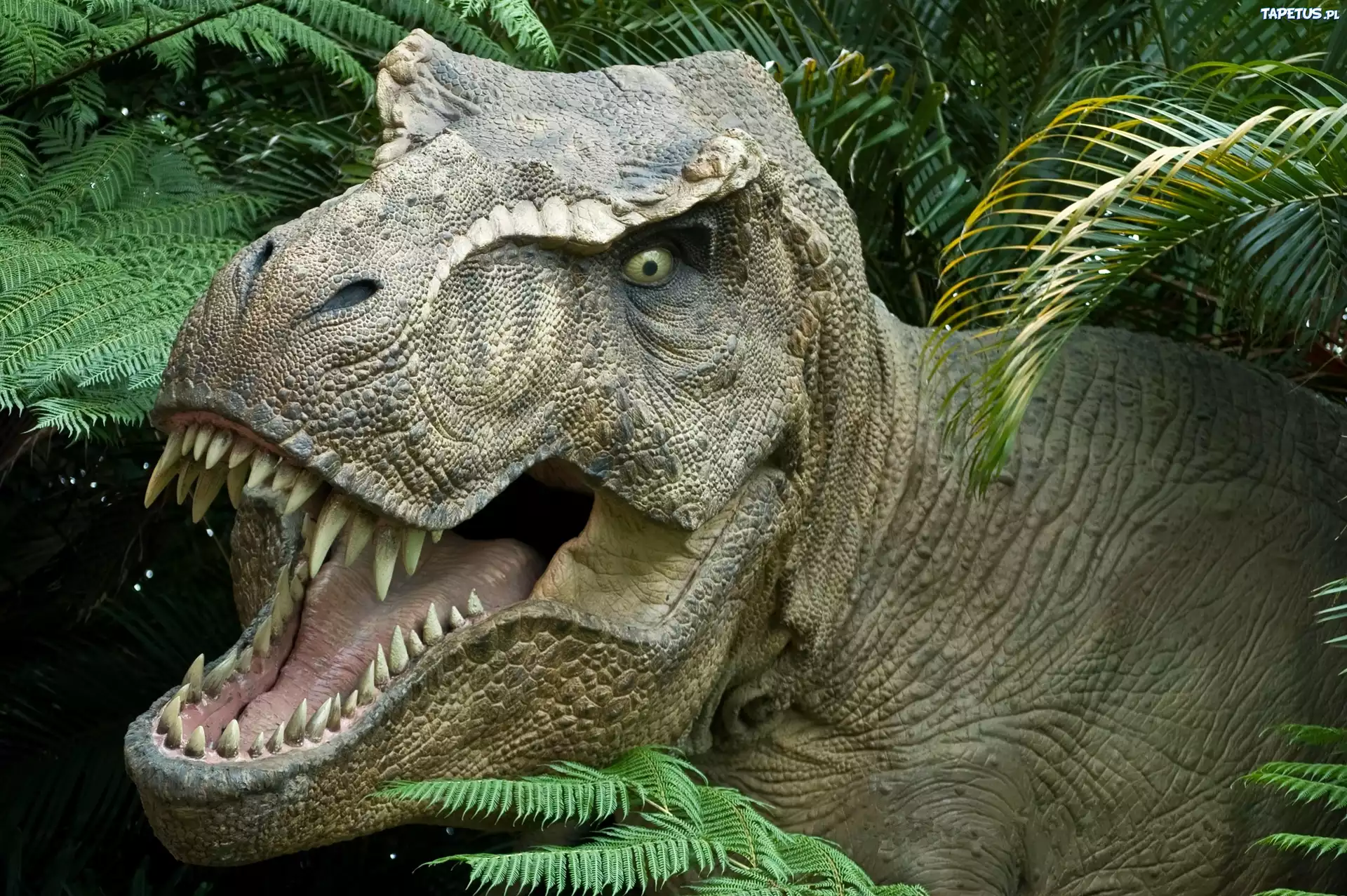 Dinozaur, Paszcza, Kły, Paprocie