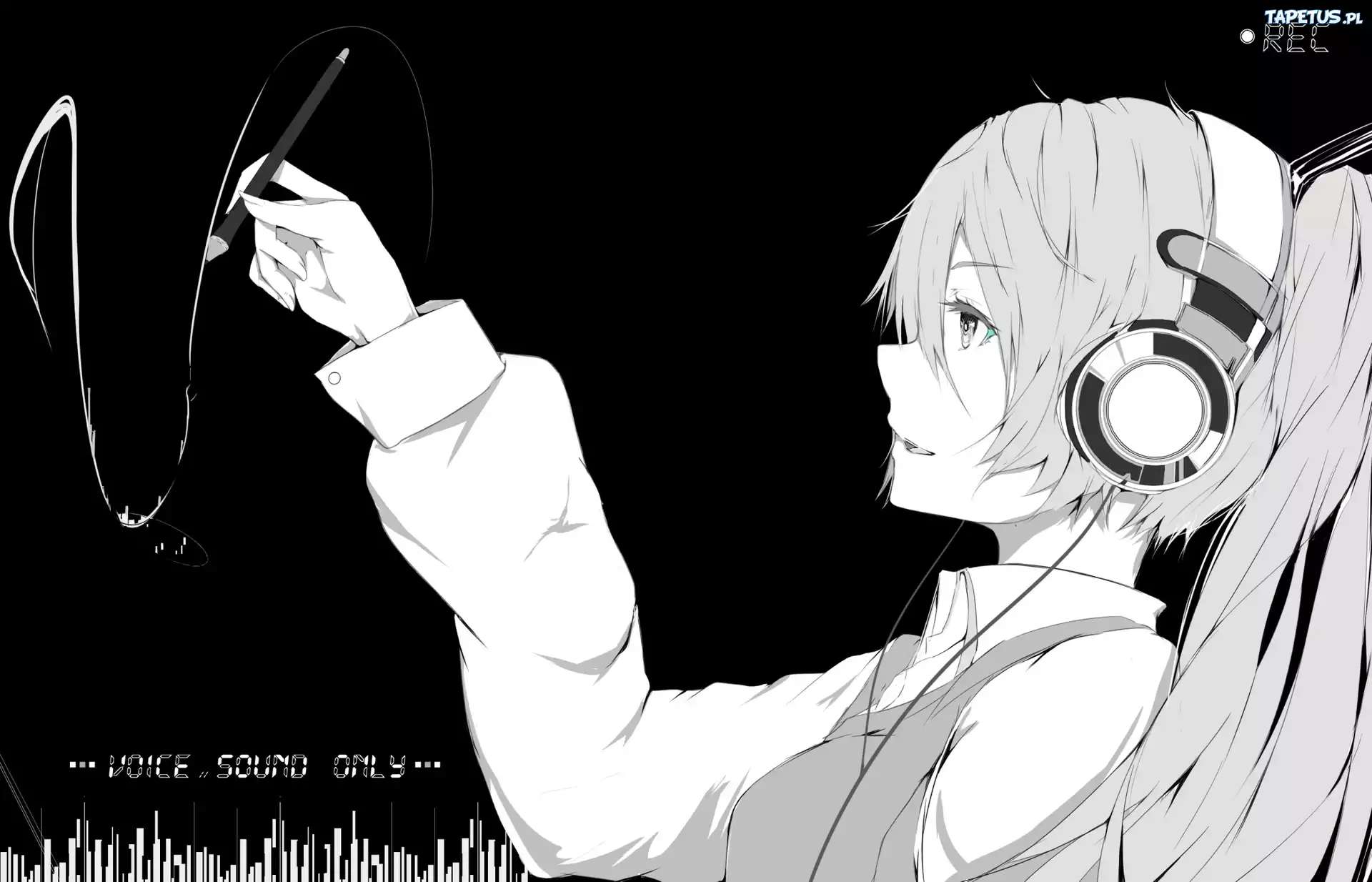 Vocaloid, Hatsune Miku