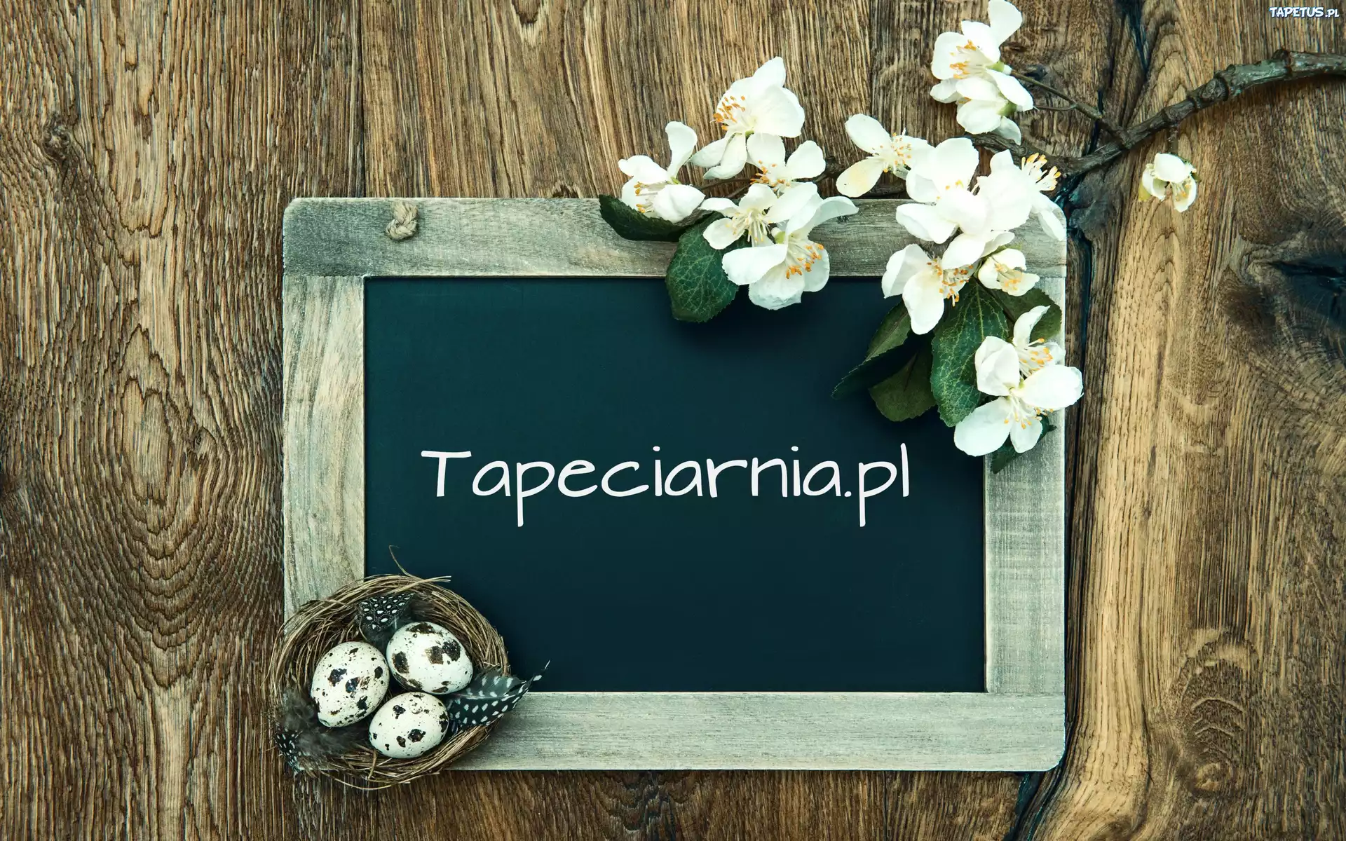 Ramka, Gniazdo, Kwiaty, Kompozycja