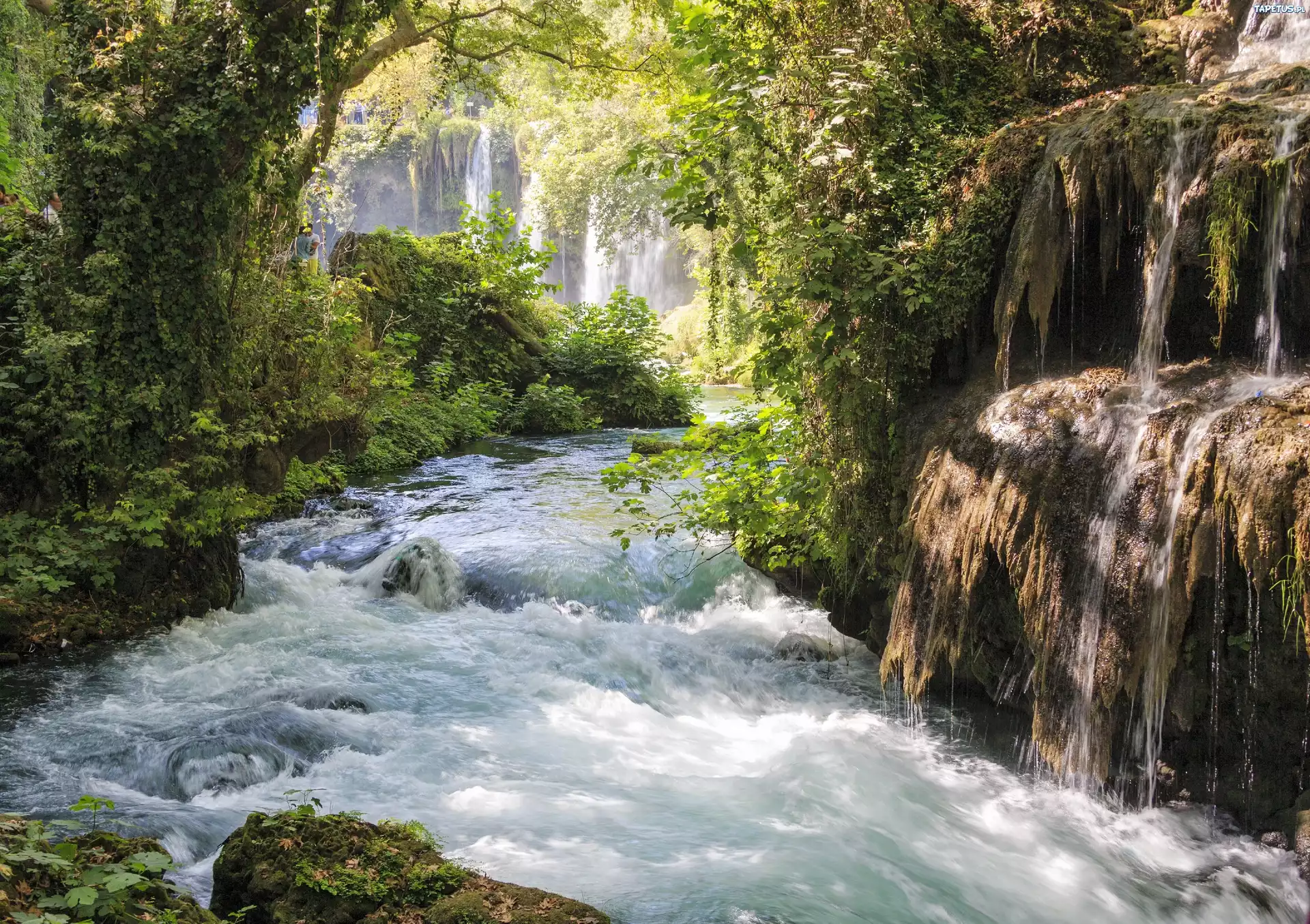 природа водопад река деревья лес вода скачать