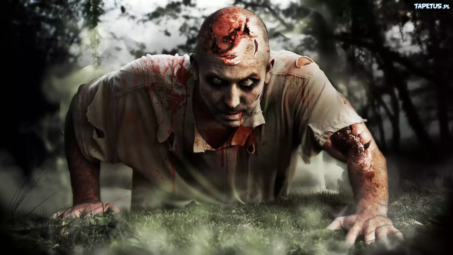 Zombi, krew, Las
