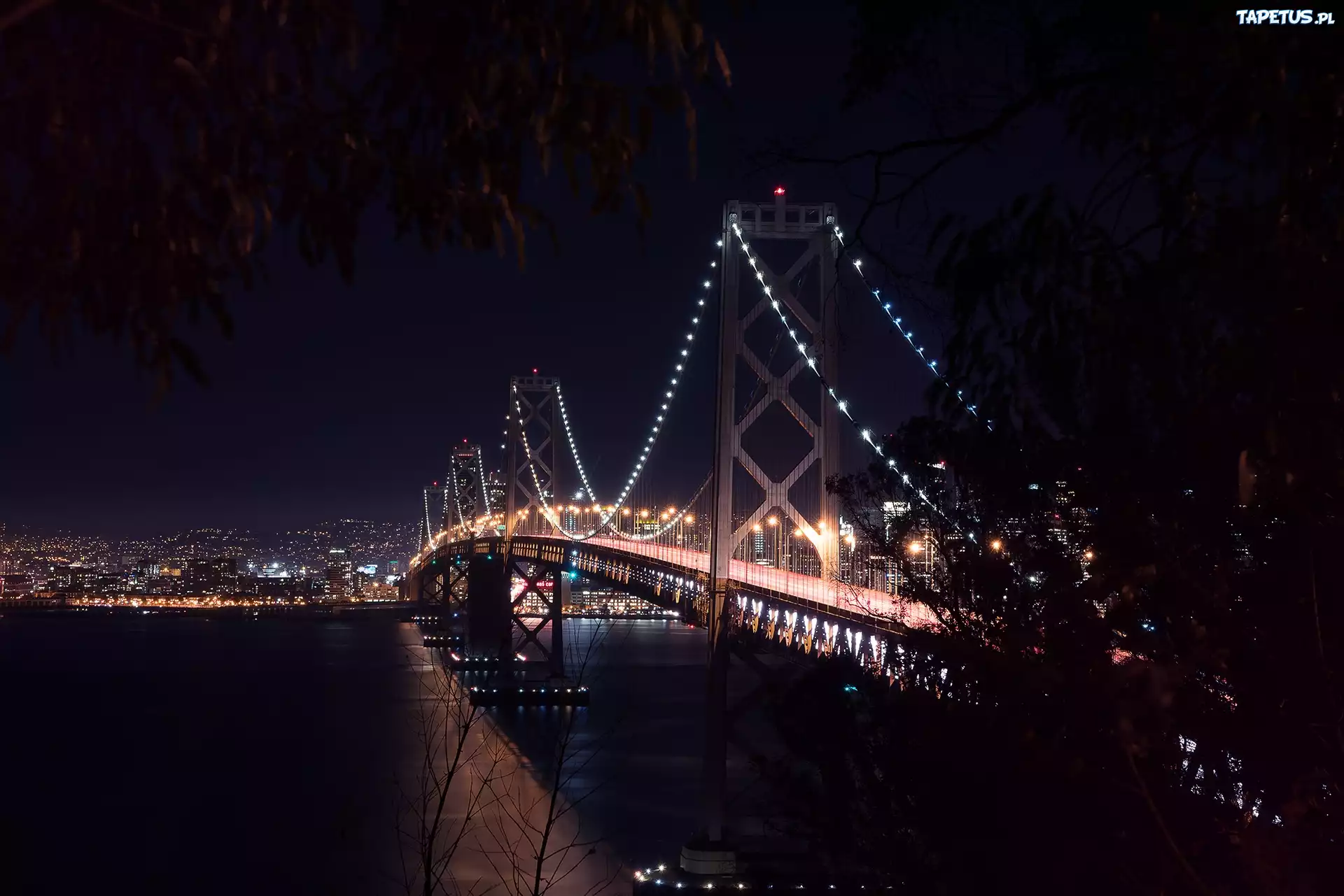 San Francisco, Oświetlony, Most Bay, Rzeka, Drzewa, Noc
