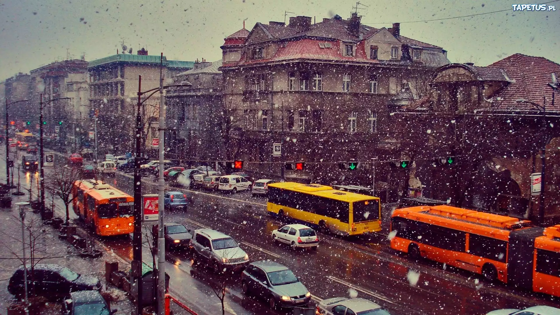 Serbia, Belgrad, Miasto, Samochody, Autobusy, Zima, Padający, Śnieg