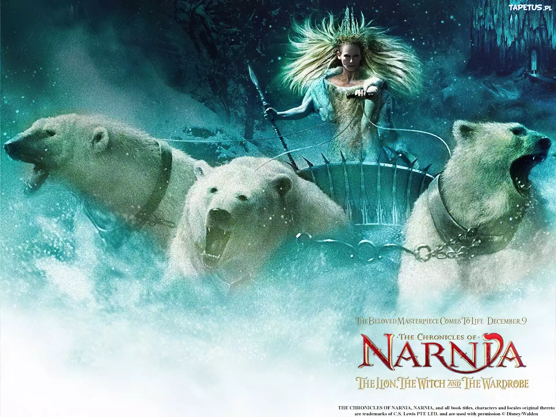 The Chronicles Of Narnia, królowa śniegu, niedźwiedzie, śnieg, powóz