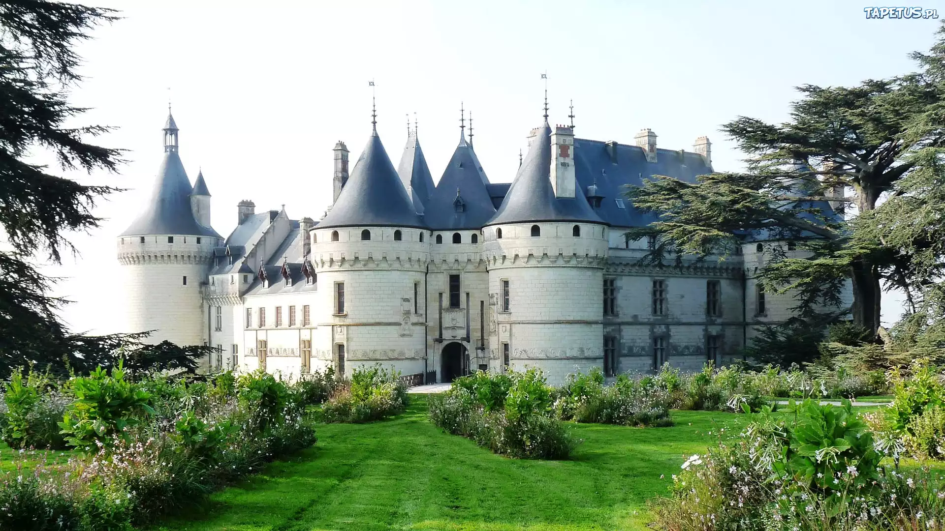 Замок Сомюр Луара Франция бесплатно