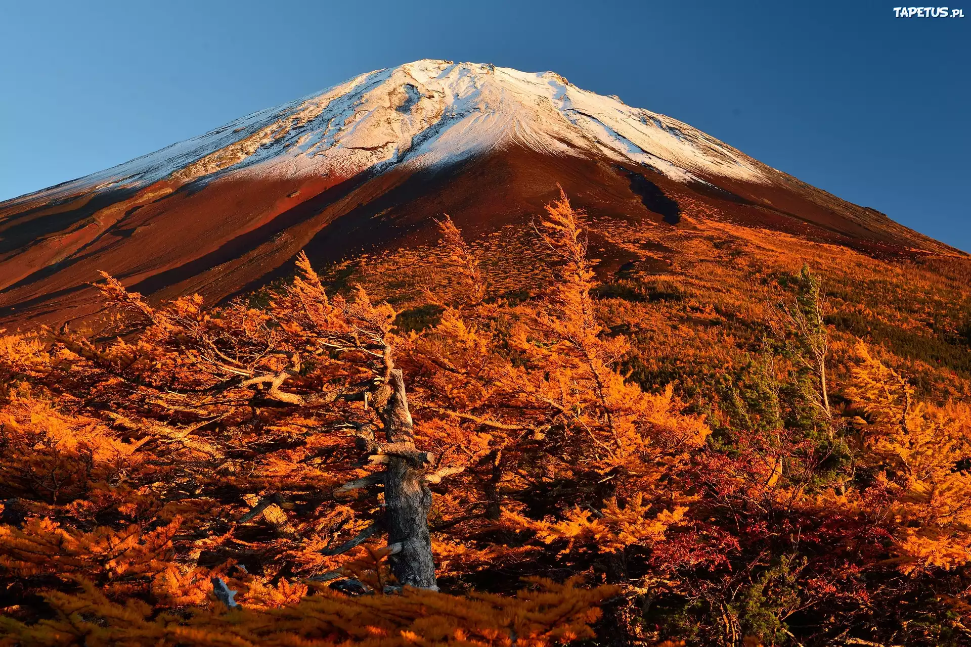 Wulkan, Fuji, Jesień