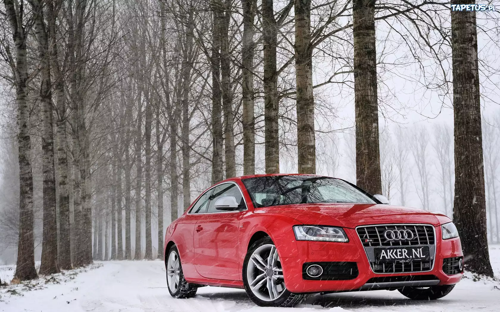 Czerwone, Audi S5, Las, Droga, Śnieg