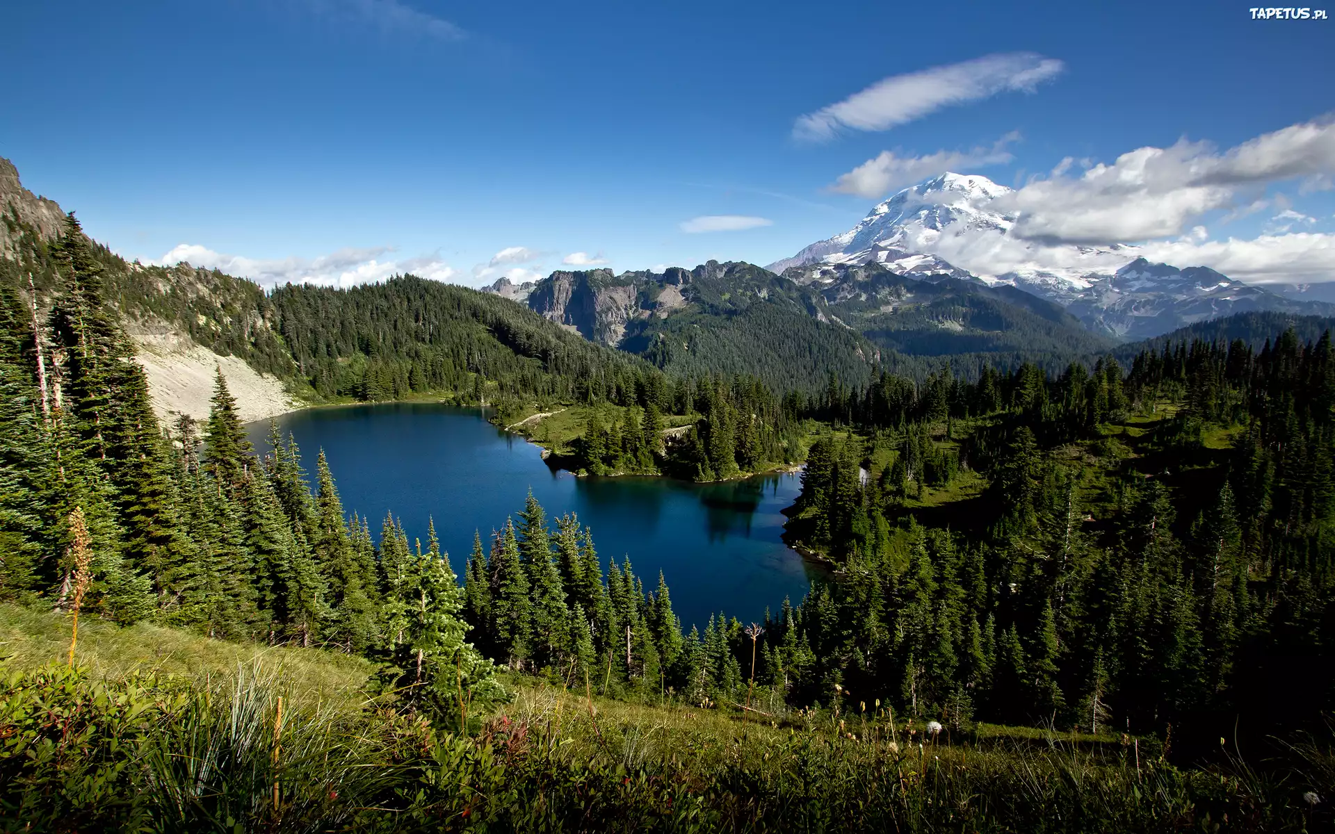 Wulkan, Mont Rainier, Park, Narodowy, USA