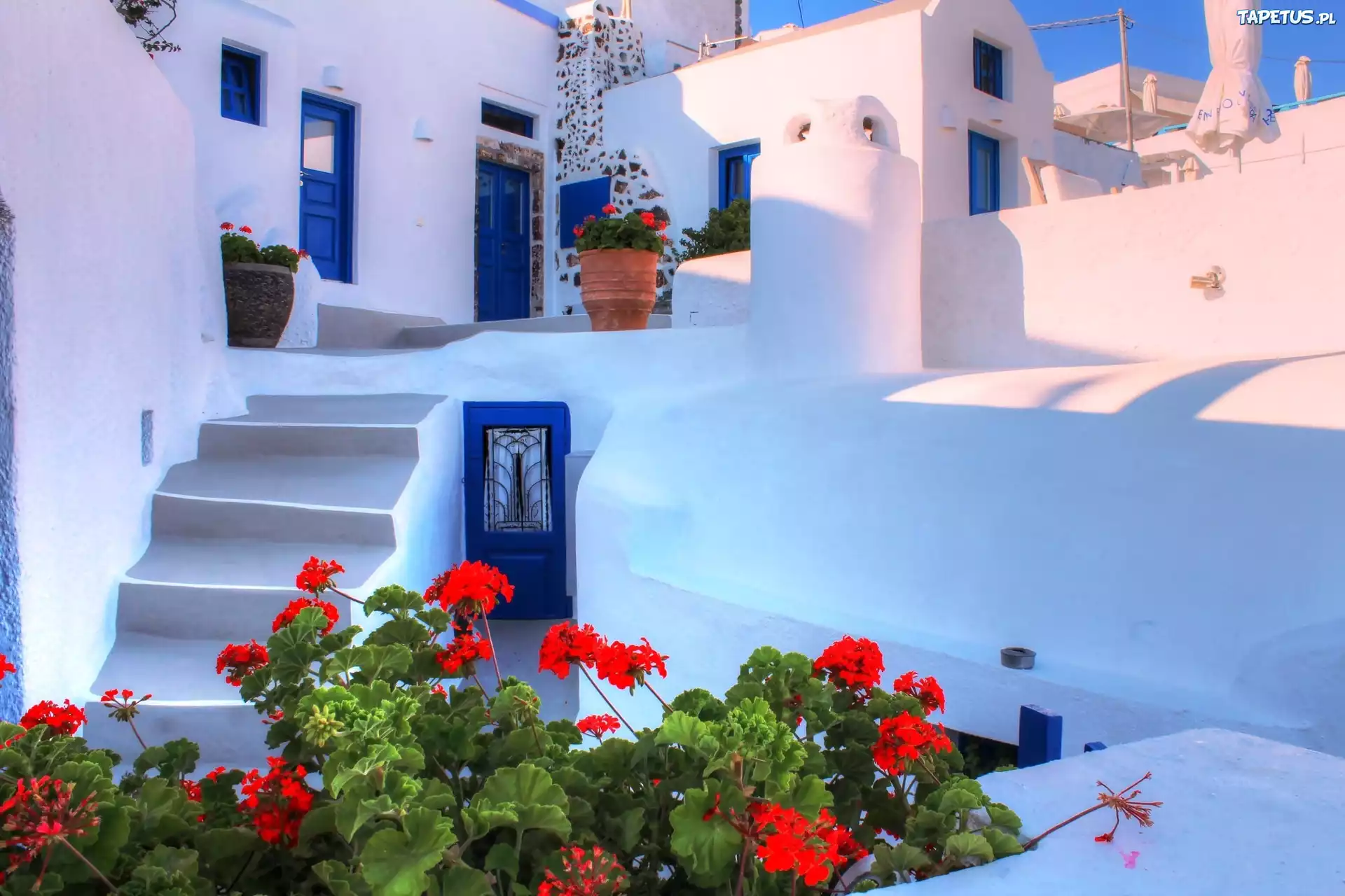 Dom, Kwiaty, Santorini