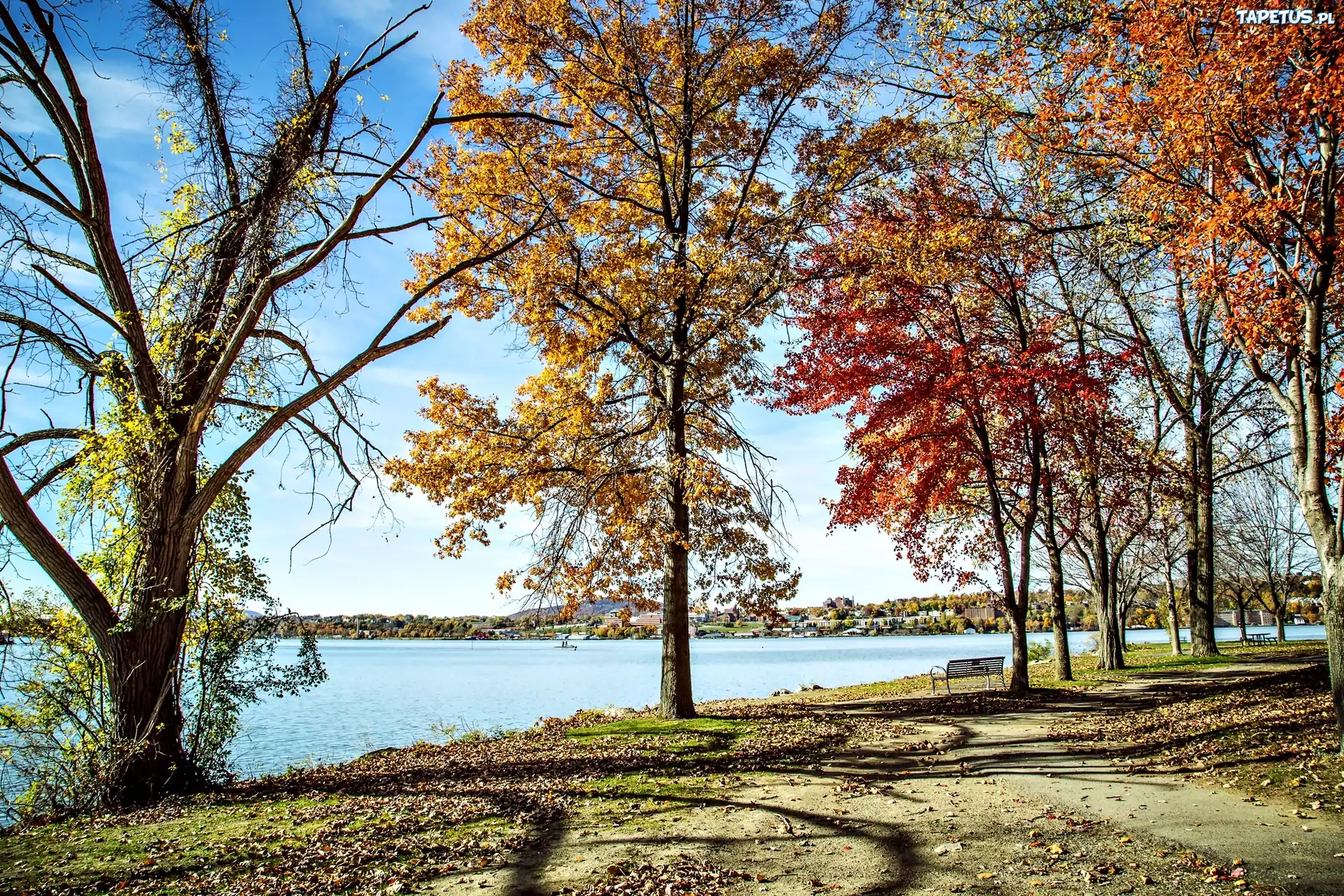 Jesień, Park, Kolorowe Drzewa, Jezioro, Krajobraz