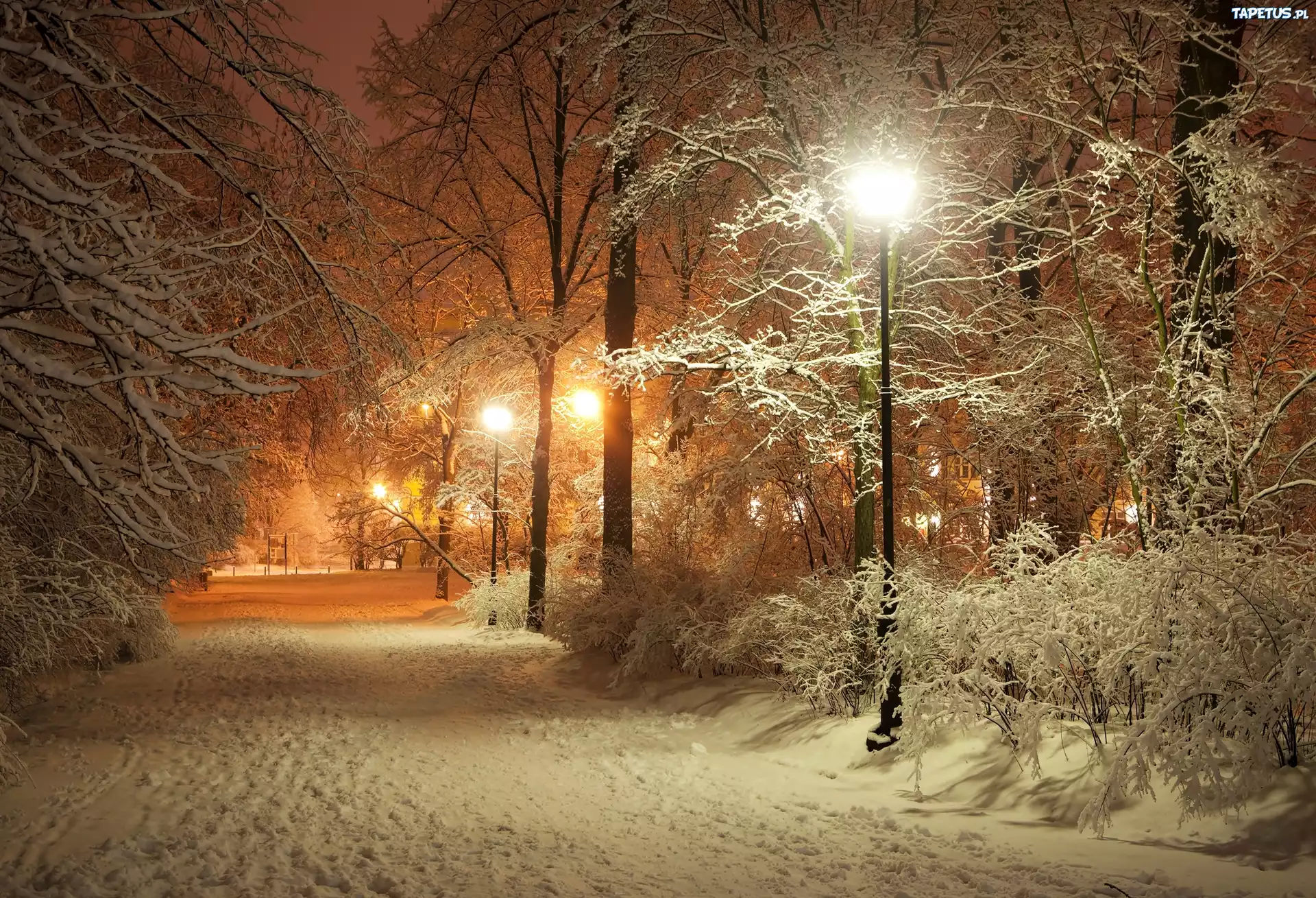 Zima, Park, Latarnia