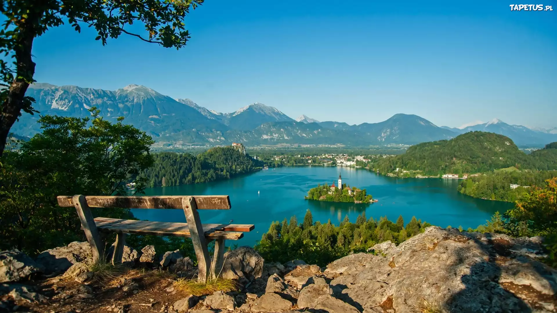 Jezioro, Góry, Drzewo, Ławka, Bled, Słowenia