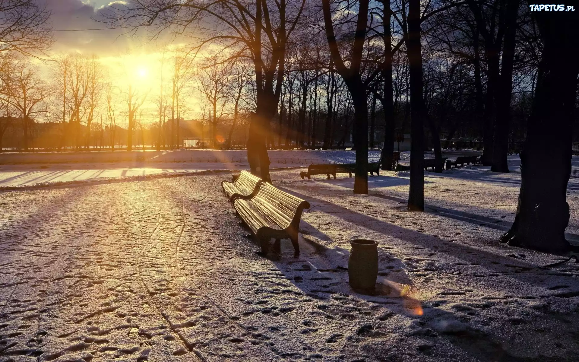 Park, Zima, Staw, Ławki, Promienie, Słońca