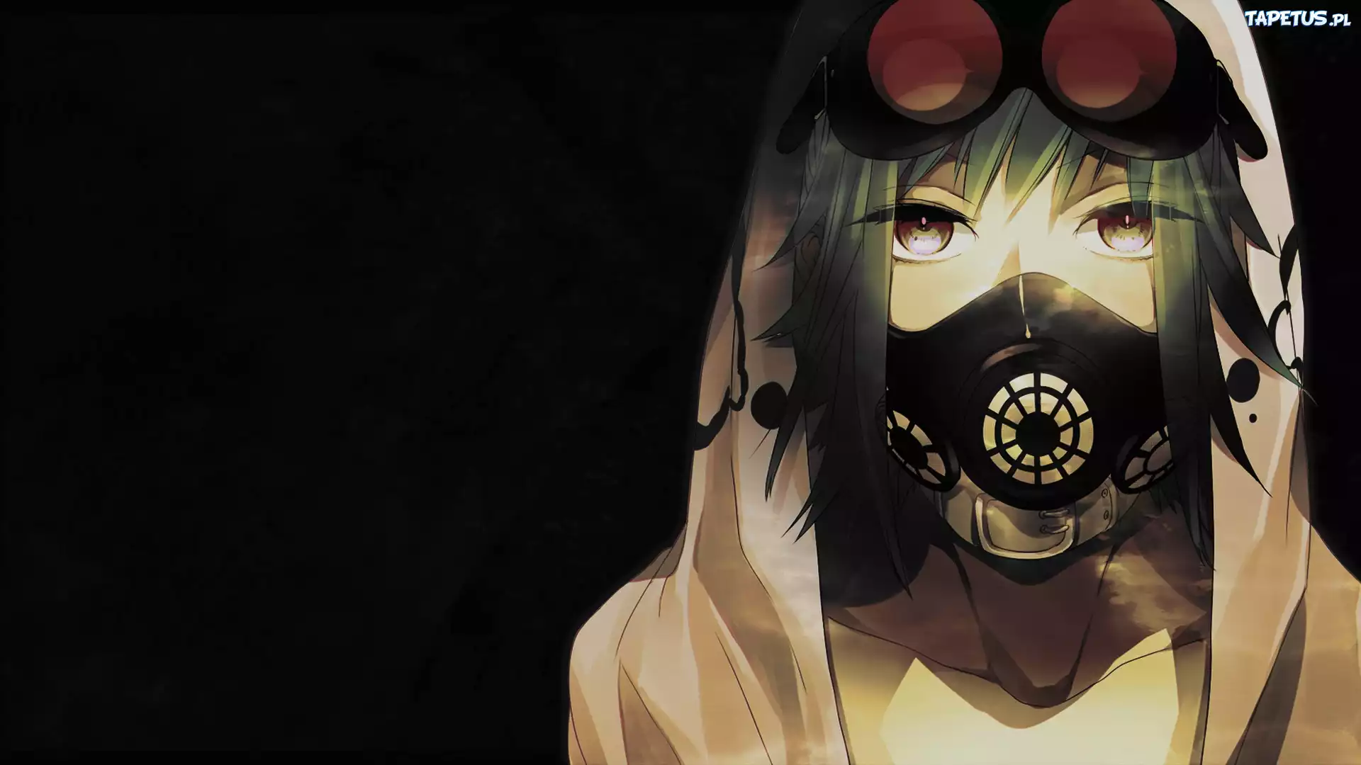 Vocaloid, Manga, Anime