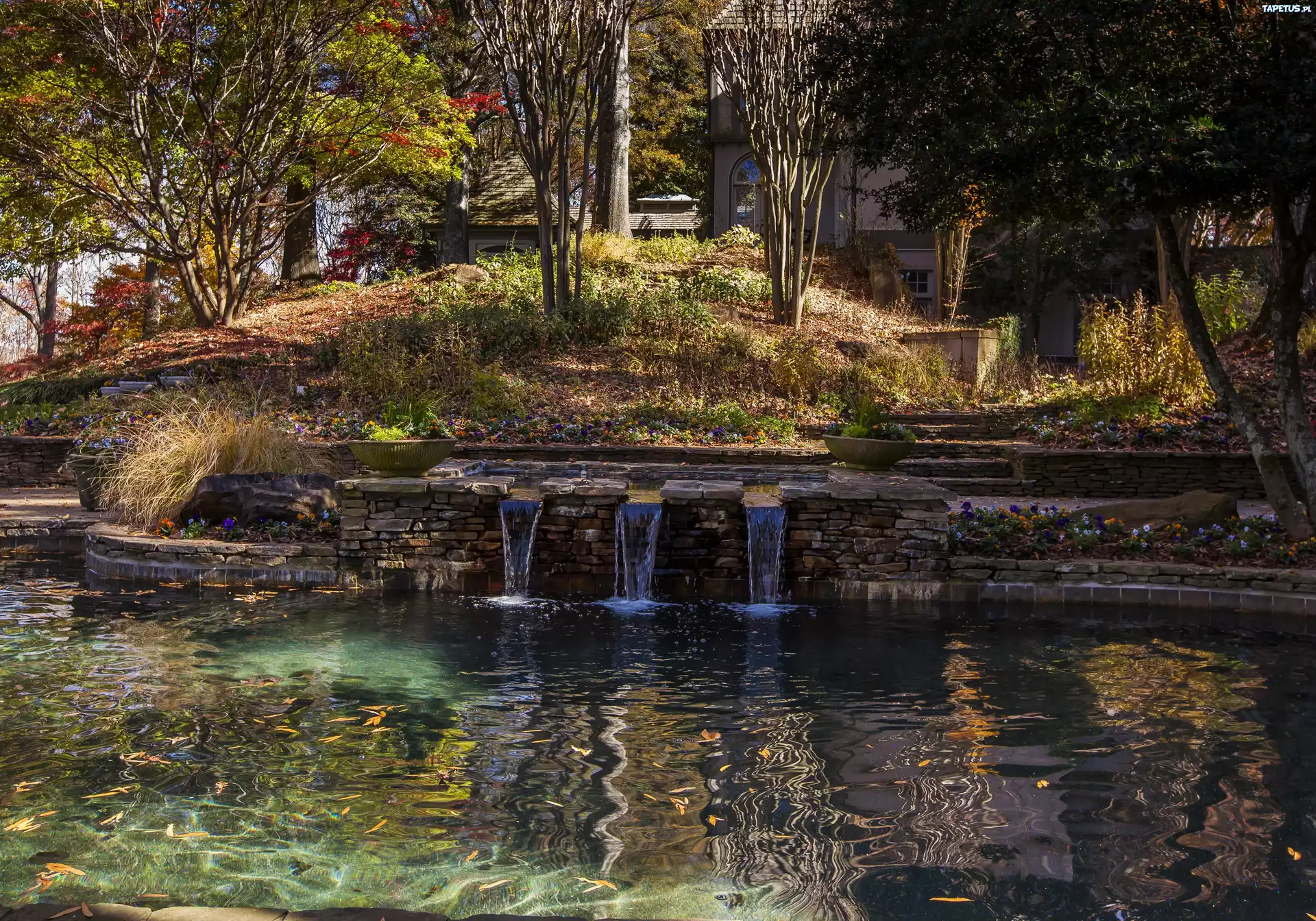 Park