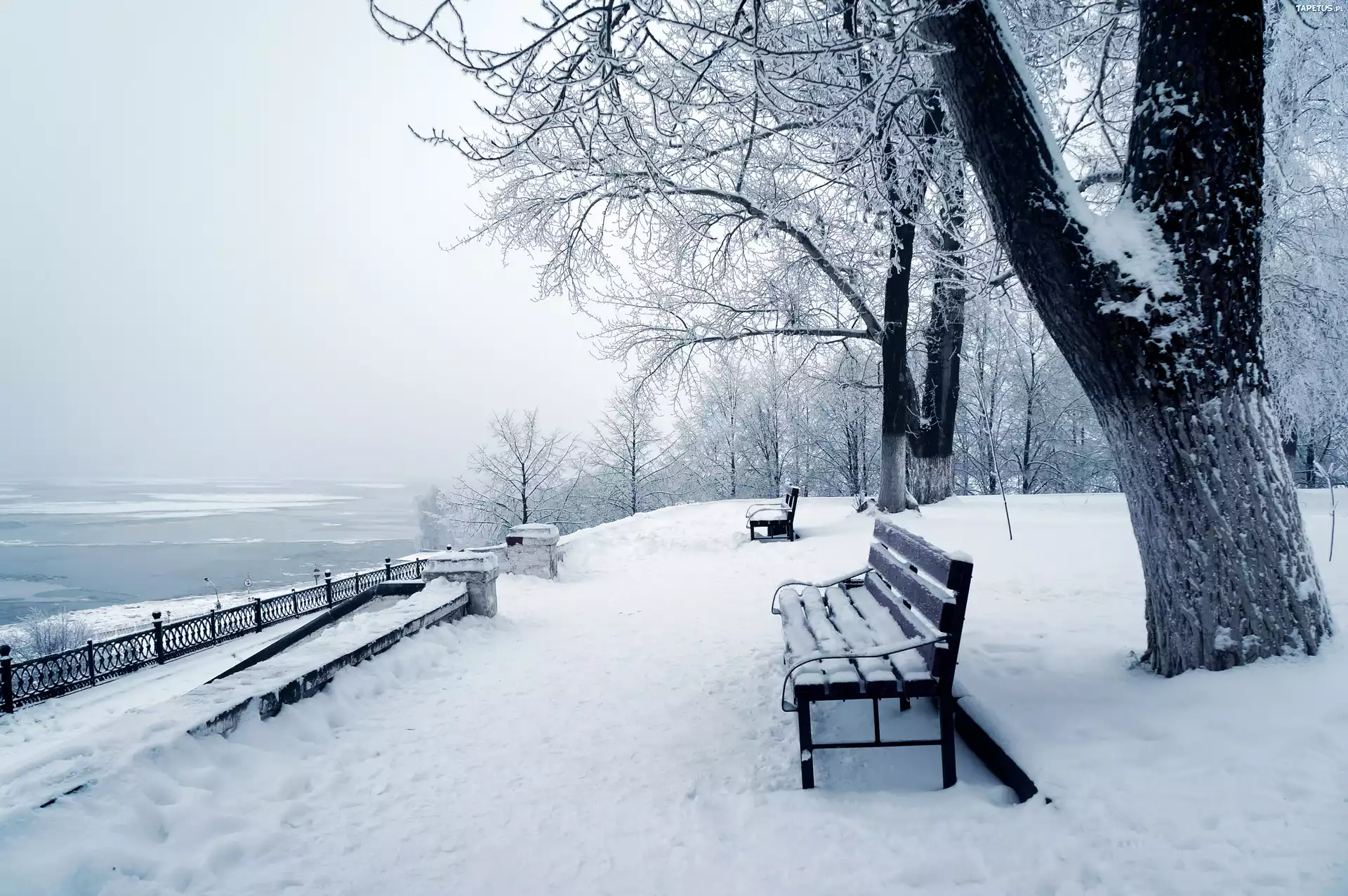 Park, Ławka, Jezioro